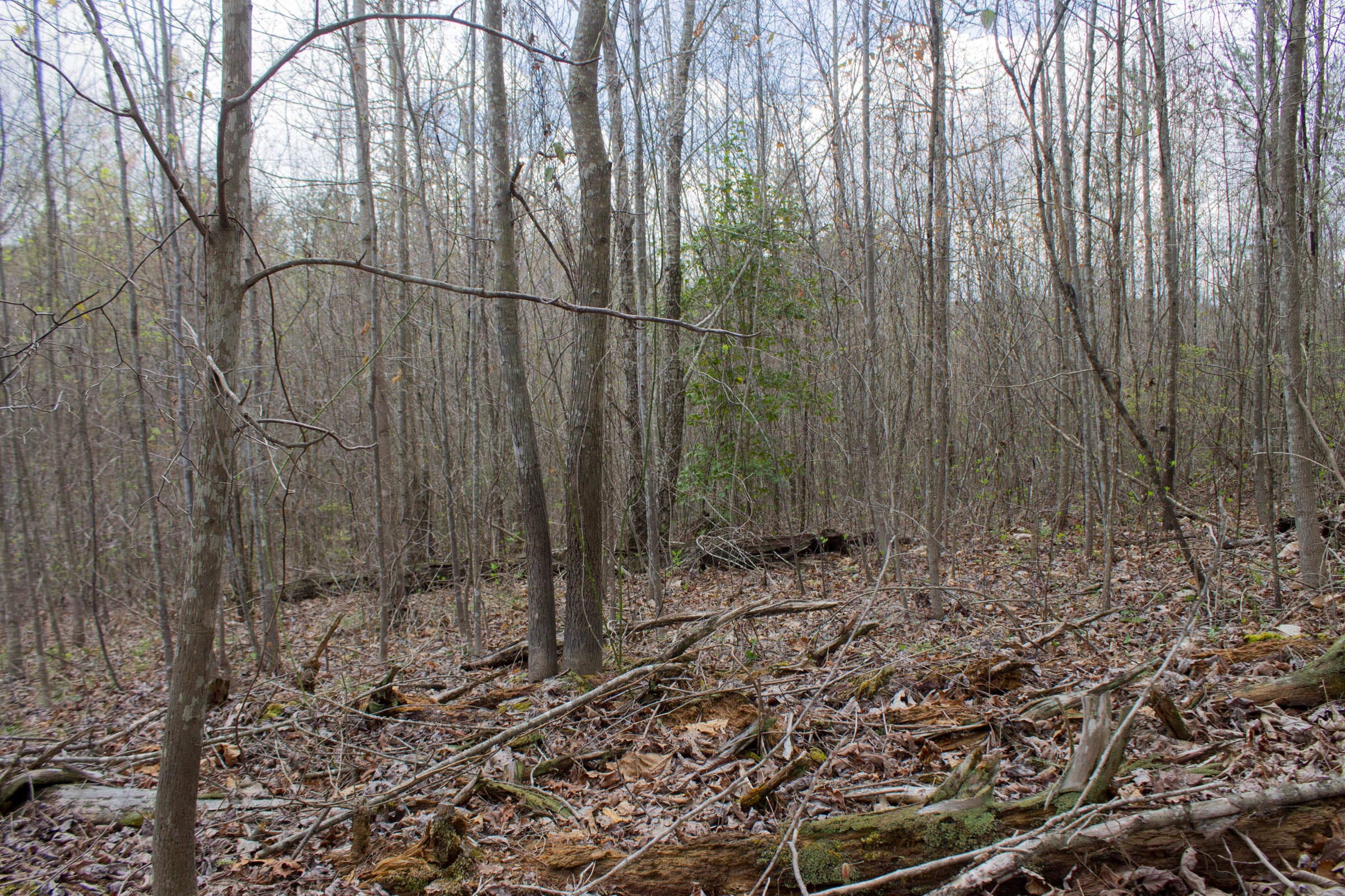Hidden Hills Tract 14 photo 1