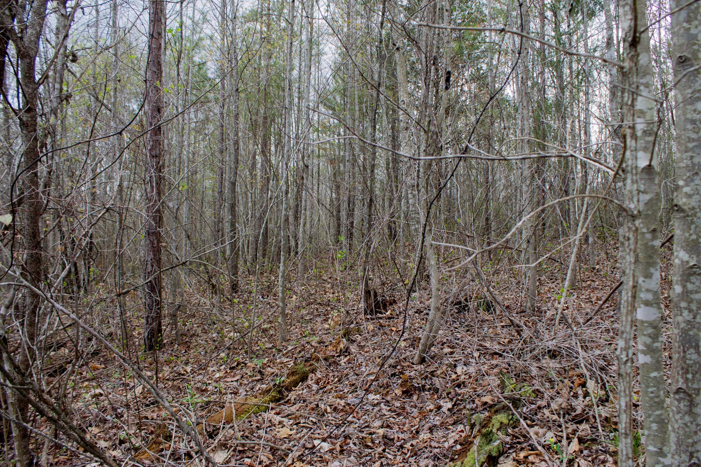 Hidden Hills Tract 14 photo 2