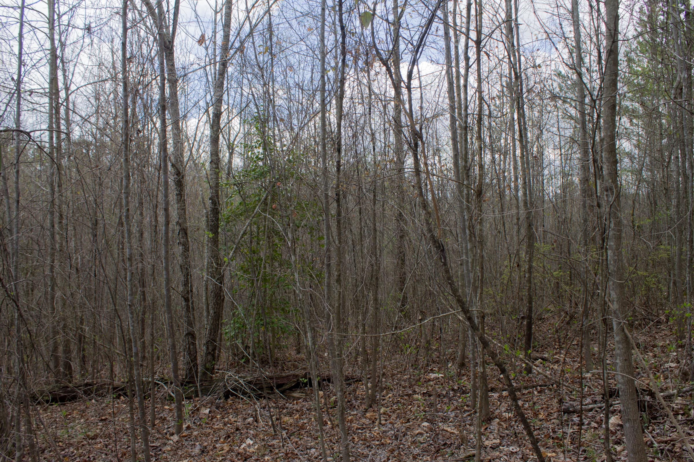 Hidden Hills Tract 14 photo 3