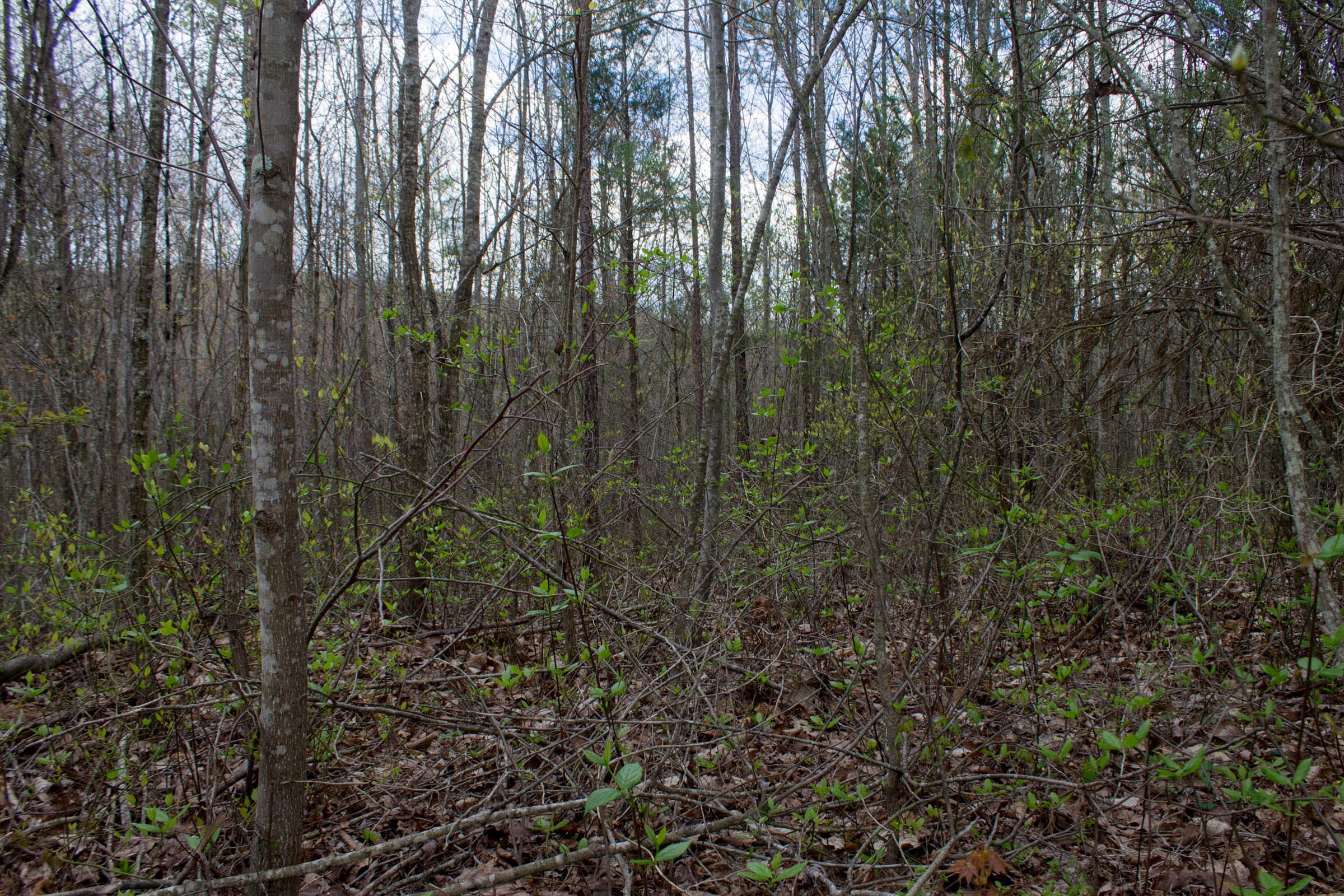 Hidden Hills Tract 14 photo 5