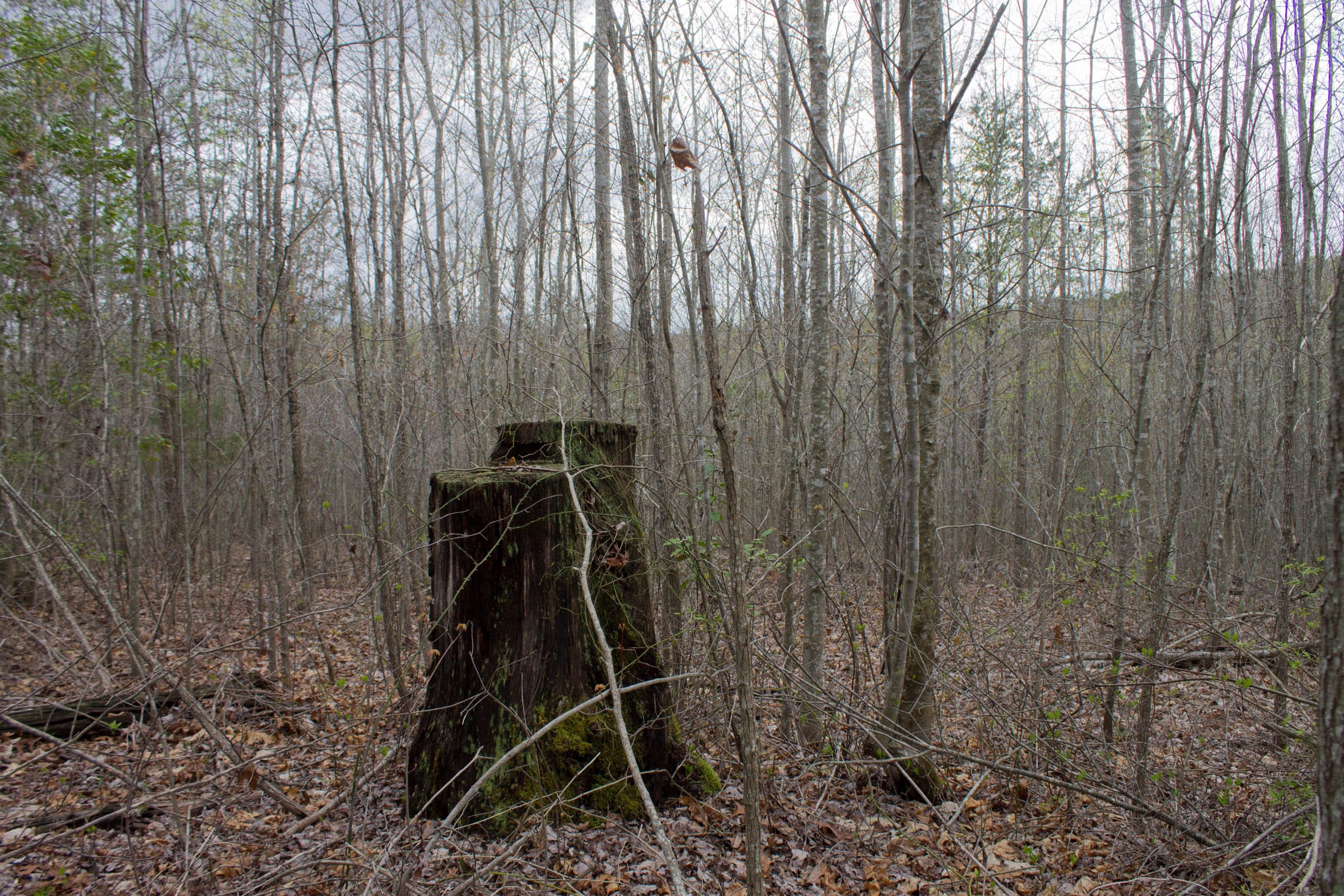 Hidden Hills Tract 14 photo 6