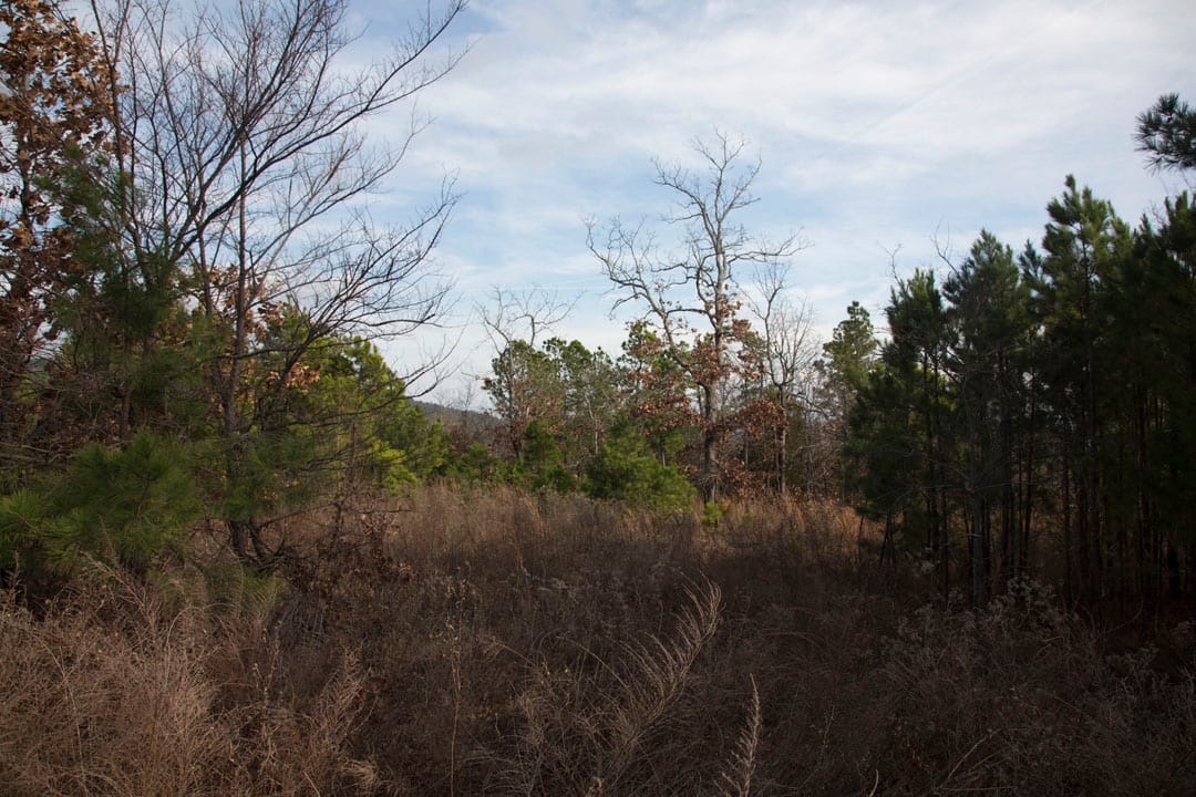 Stone Creek Phase III Tract 80 photo 2