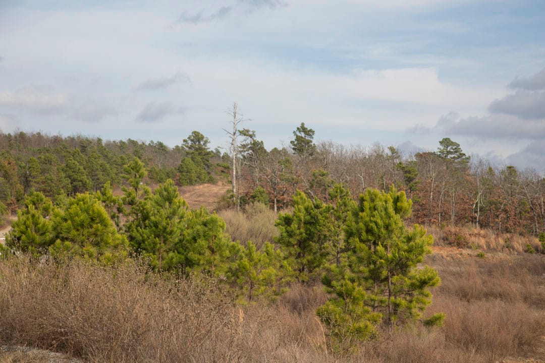 Stone Creek Phase III Tract 80 photo 3