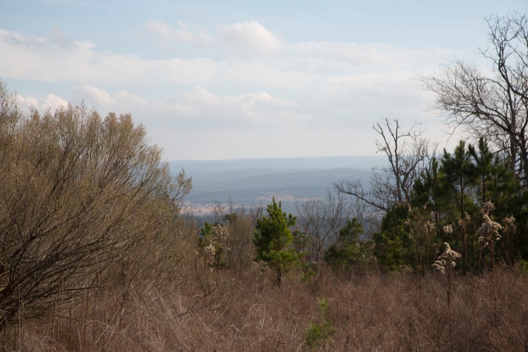 Stone Creek Phase III Tract 80 photo 5