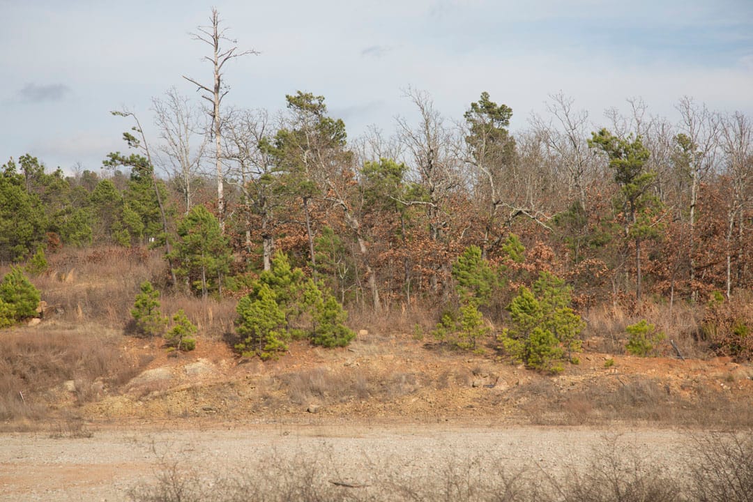 Stone Creek Phase III Tract 80 photo 6