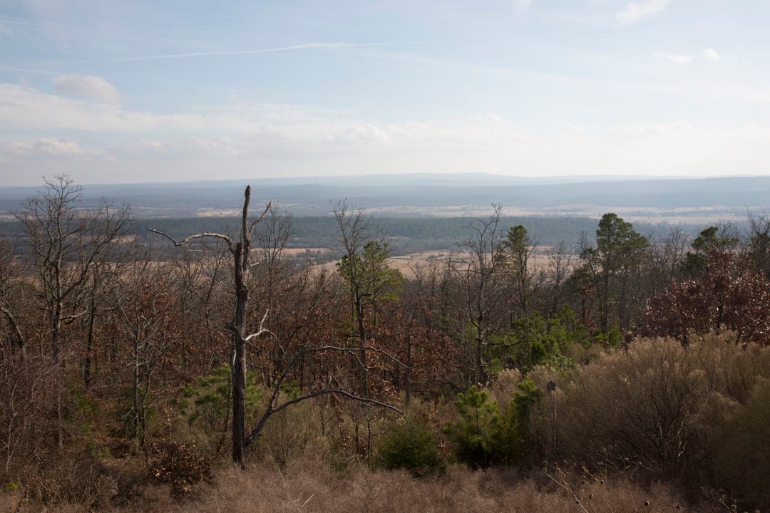 Stone Creek Phase III Tract 80 photo 11