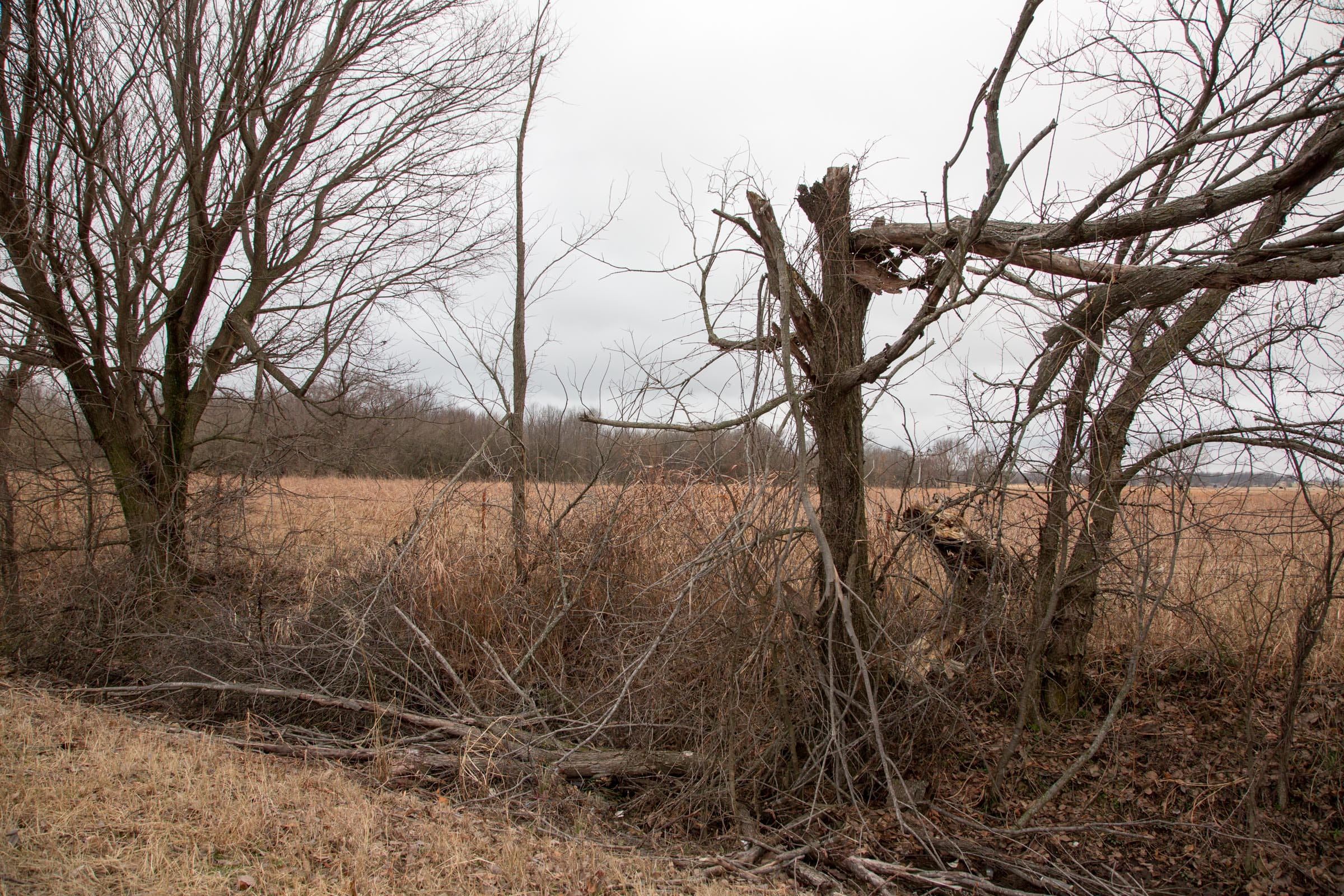 Canadian Plains Tract 9 photo 3