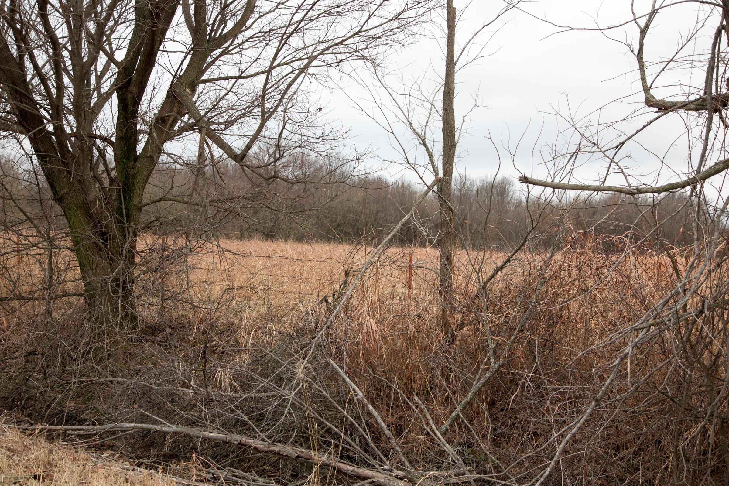 Canadian Plains Tract 9 photo 4