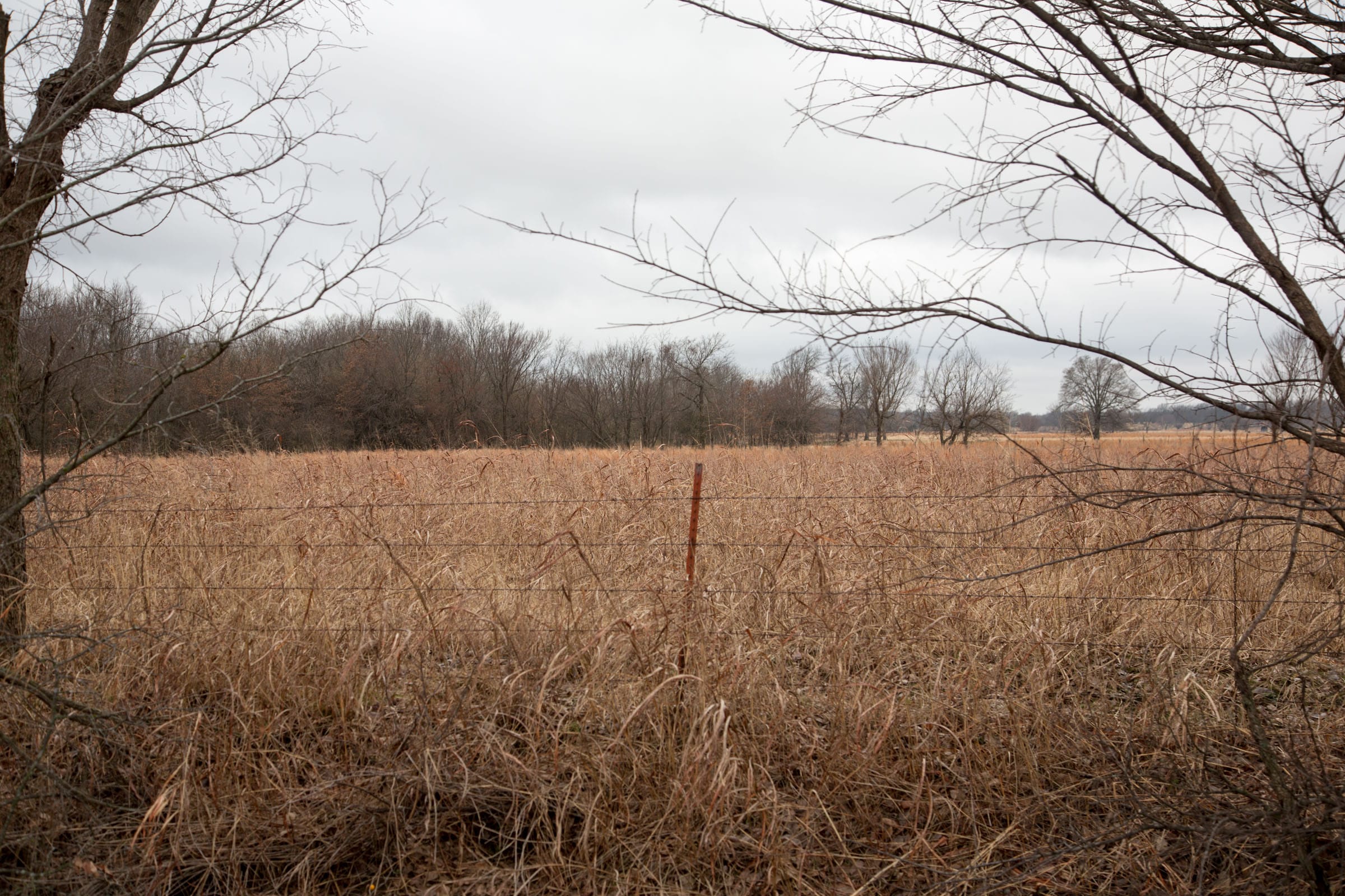 Canadian Plains Tract 9 photo 5