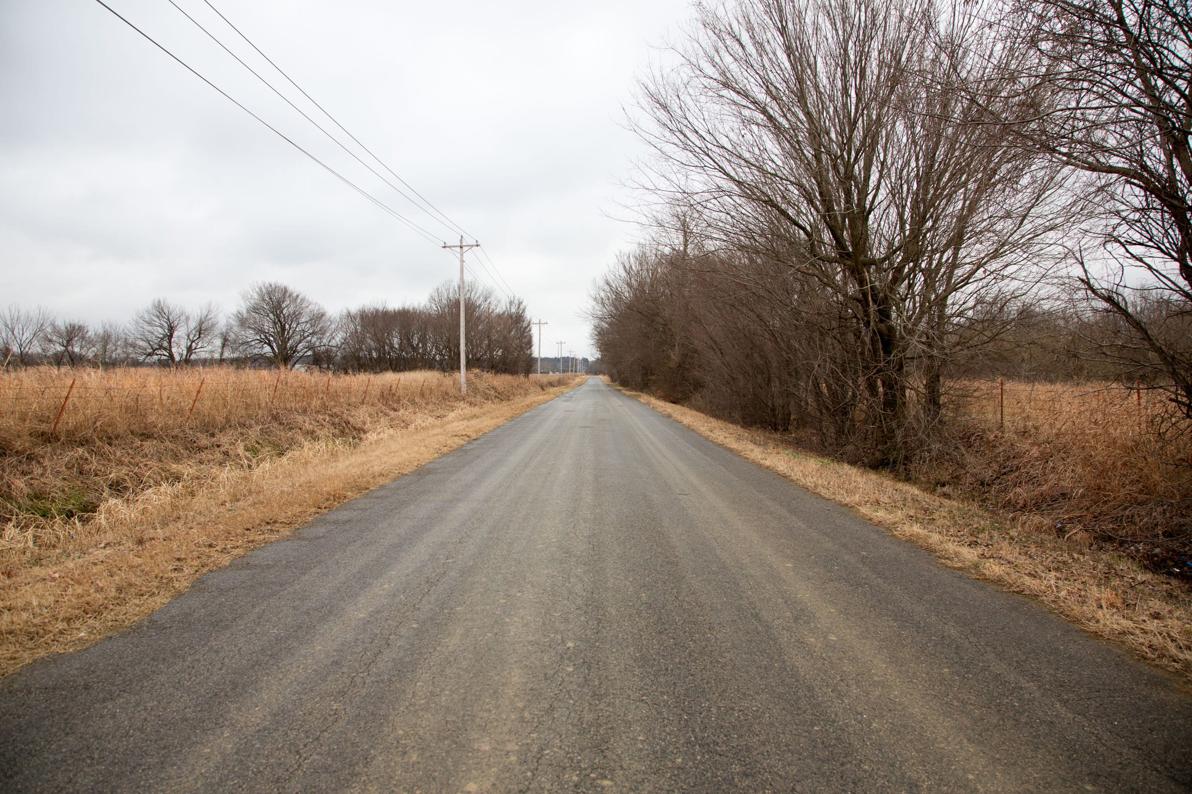 Canadian Plains Tract 9 photo 9