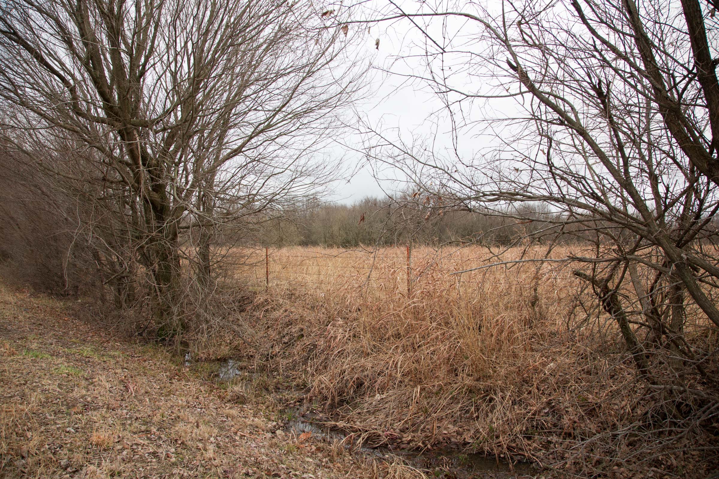 Canadian Plains Tract 9 photo 6
