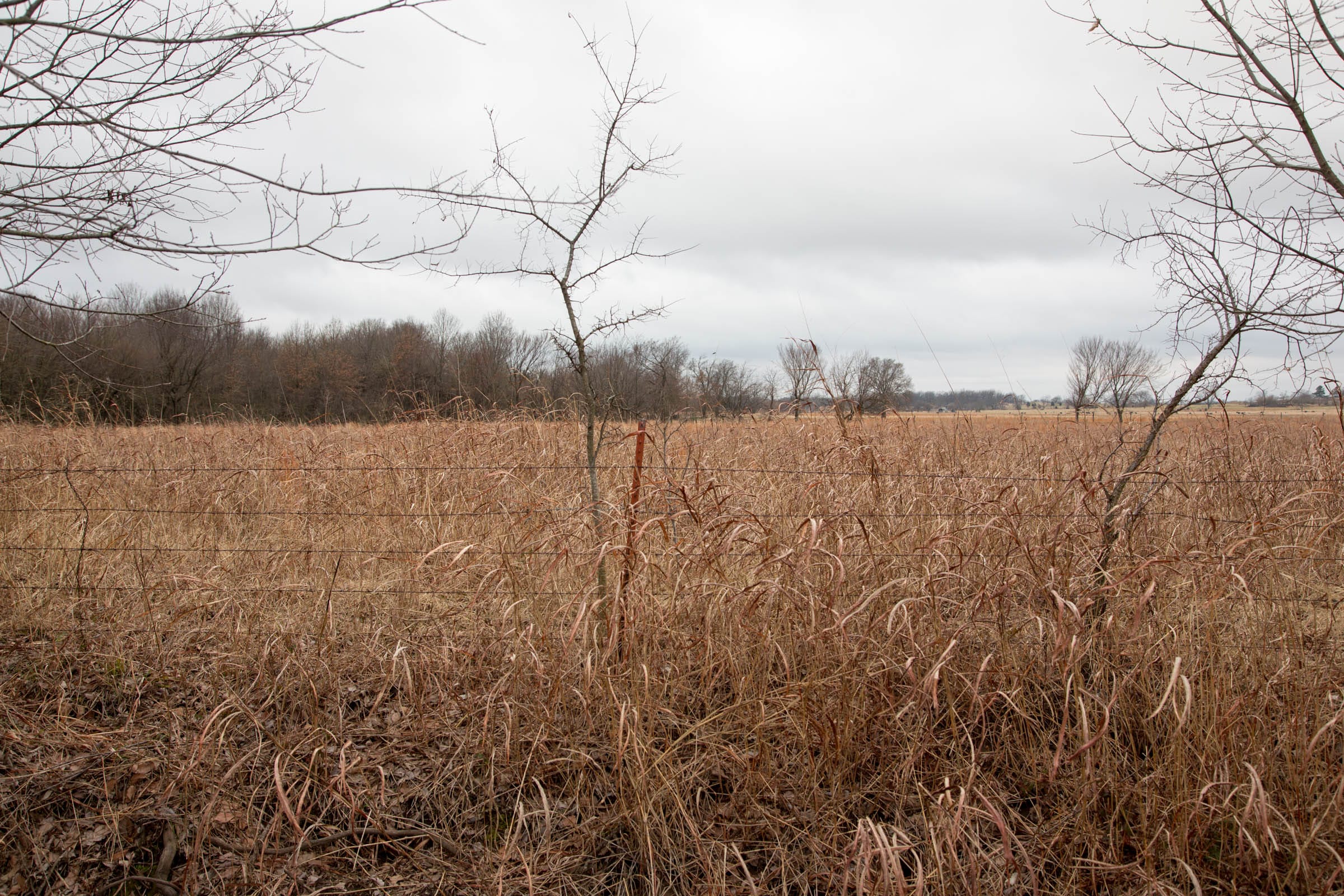 Canadian Plains Tract 9 photo 7
