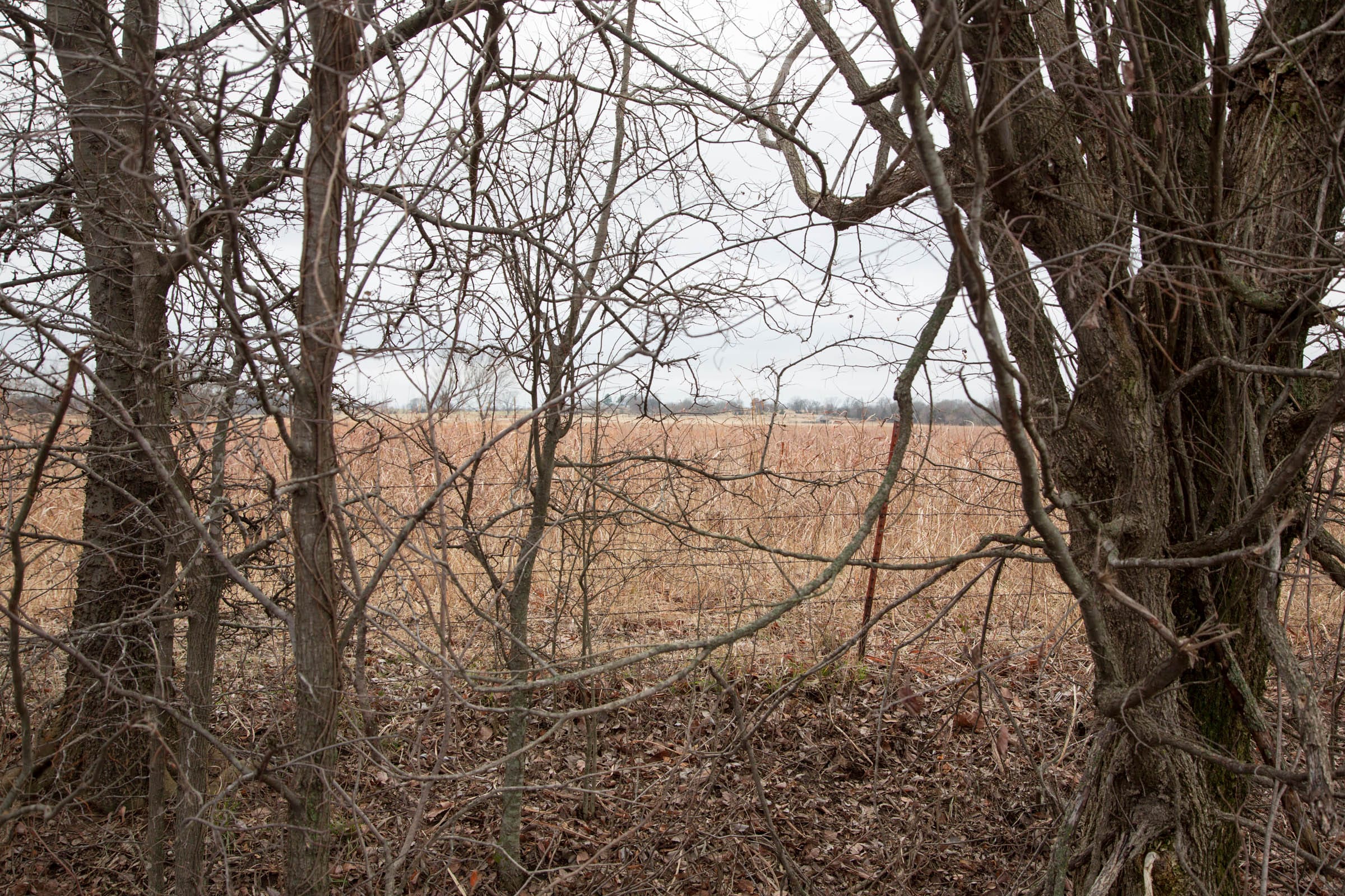 Canadian Plains Tract 9 photo 8