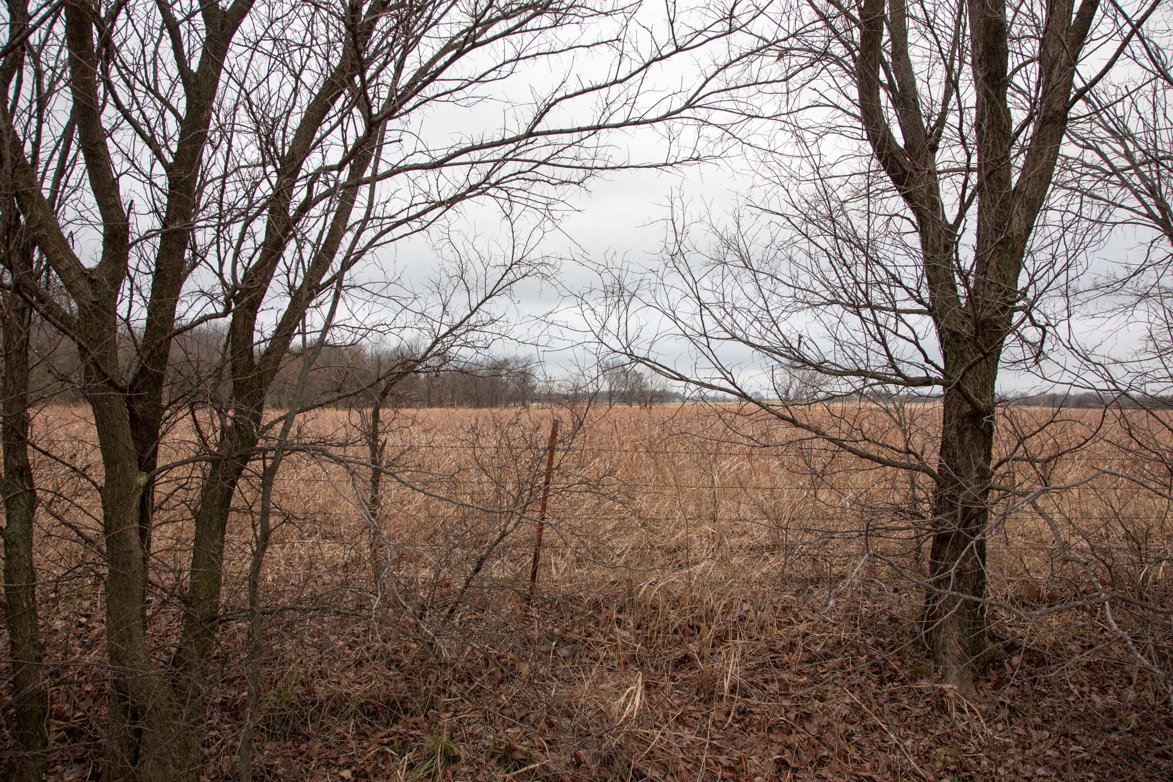Canadian Plains Tract 9 photo 10