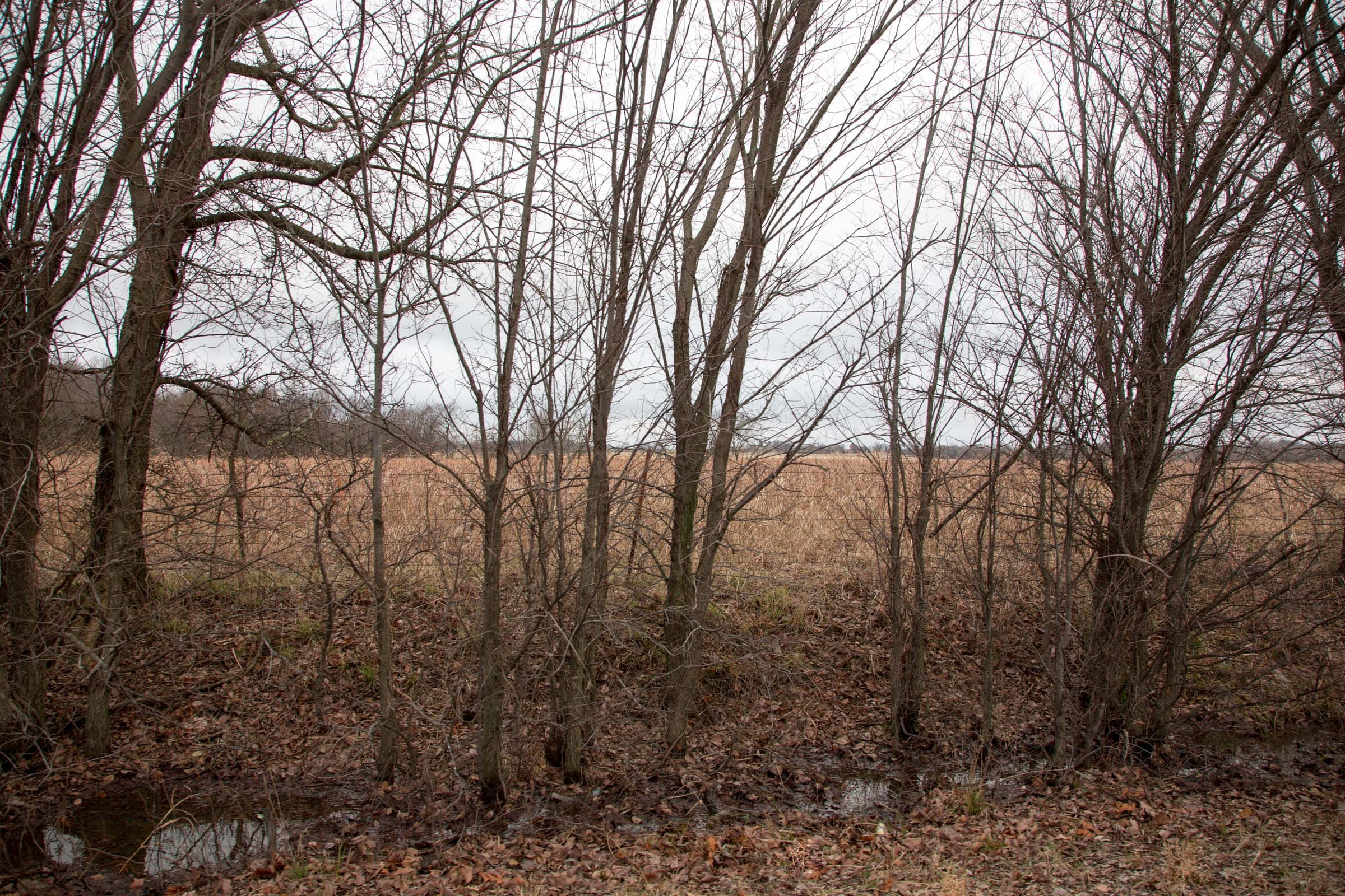 Canadian Plains Tract 9 photo 11