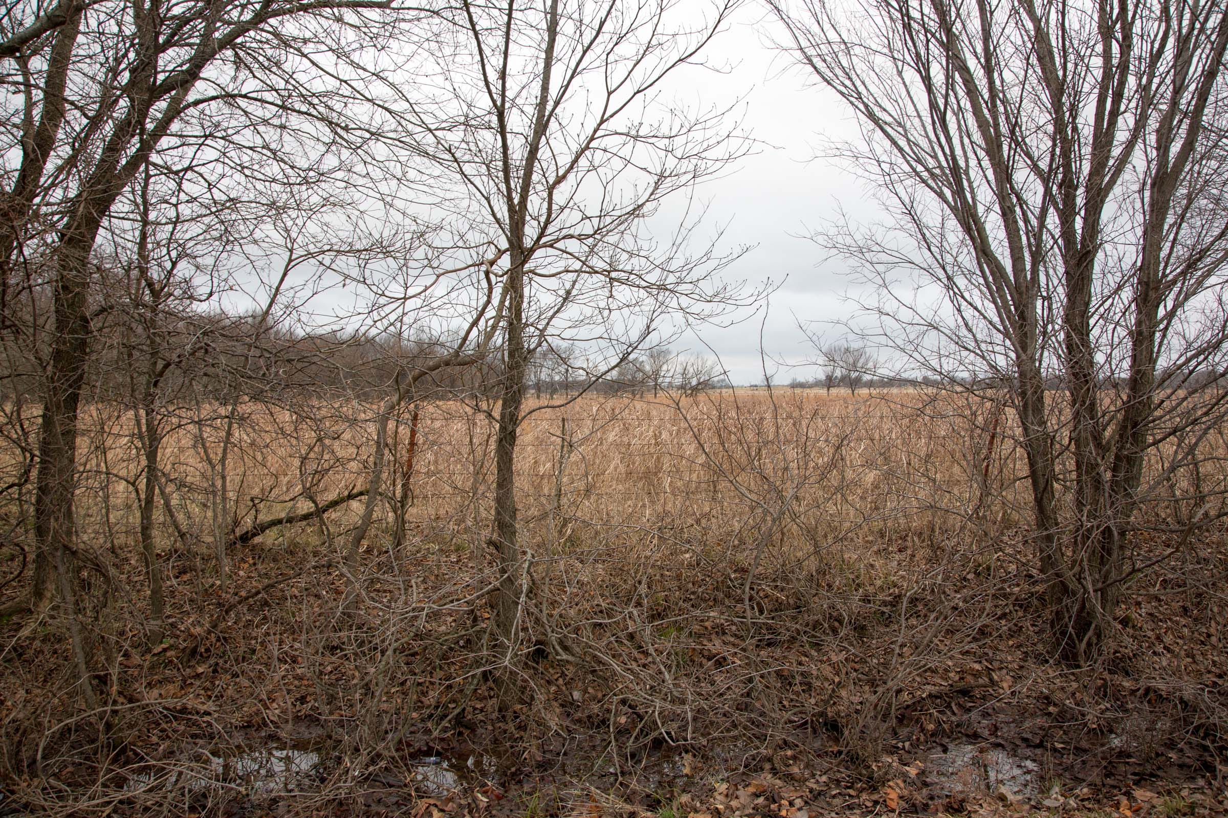 Canadian Plains Tract 9 photo 12