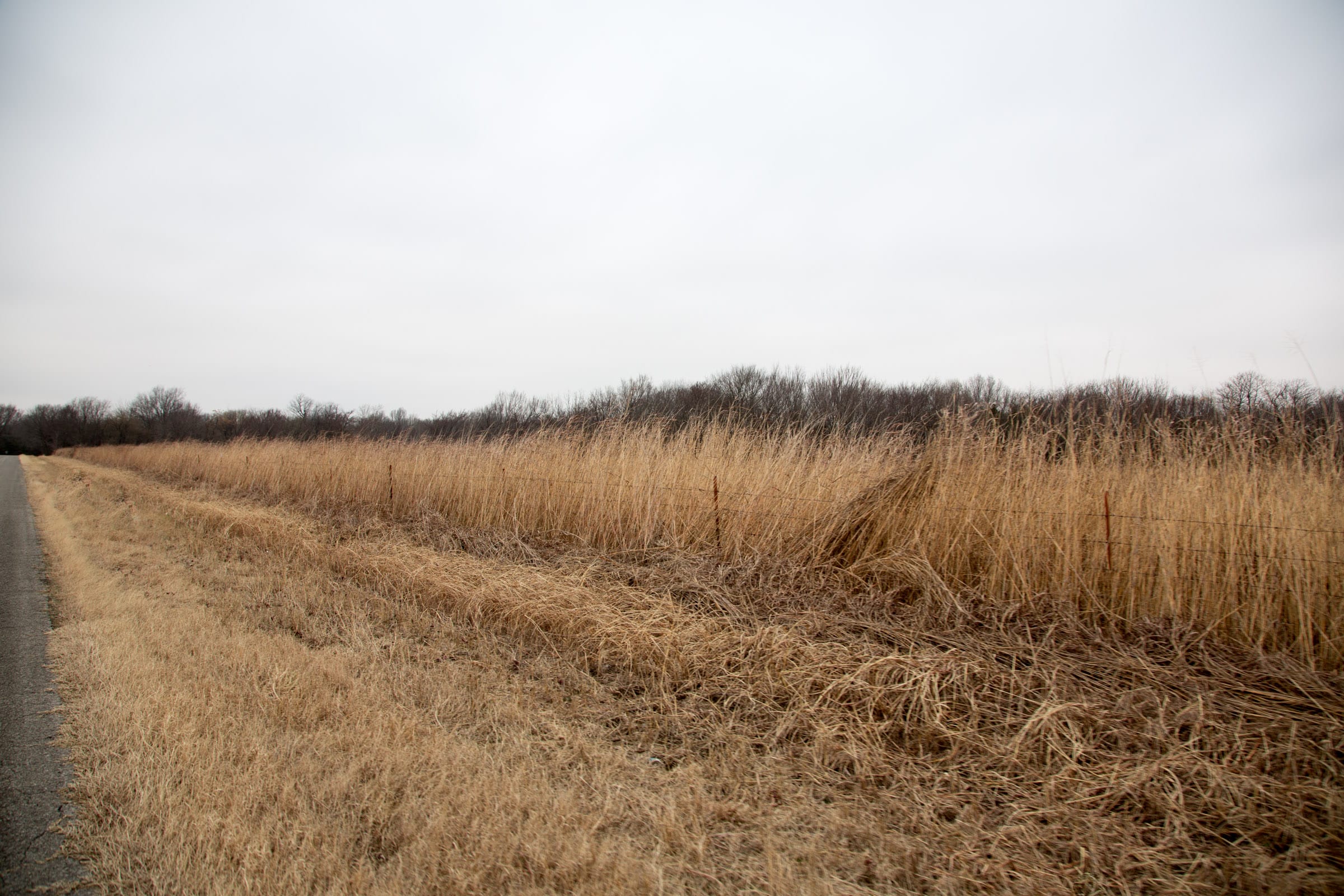 Canadian Plains Tract 16 photo 3