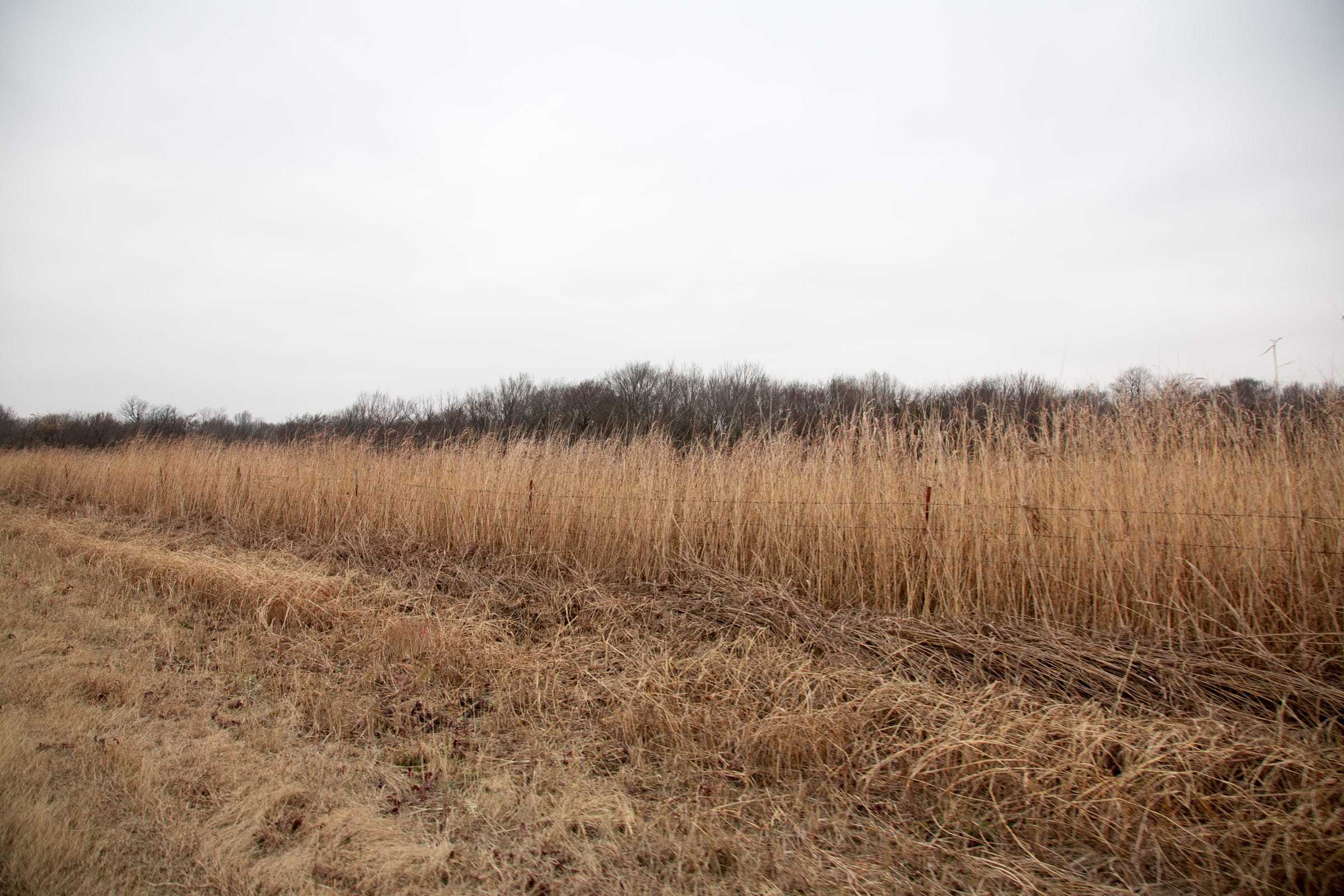 Canadian Plains Tract 16 photo 4