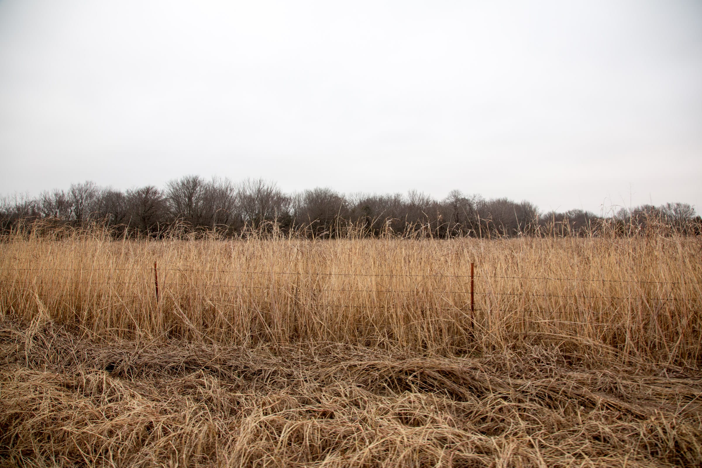 Canadian Plains Tract 16 photo 5