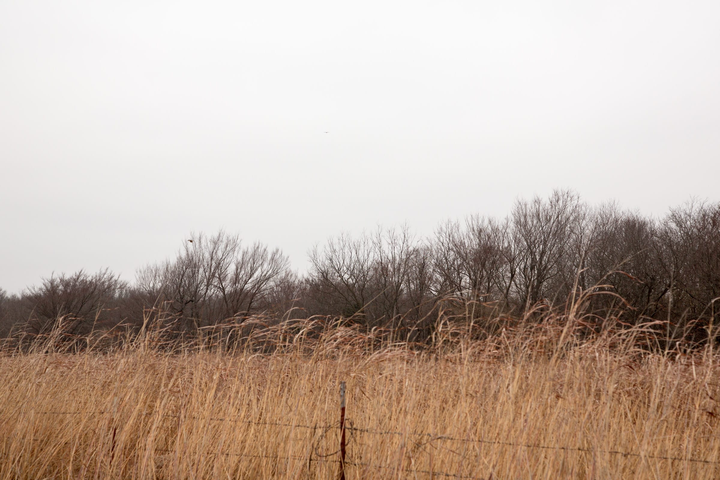 Canadian Plains Tract 16 photo 6