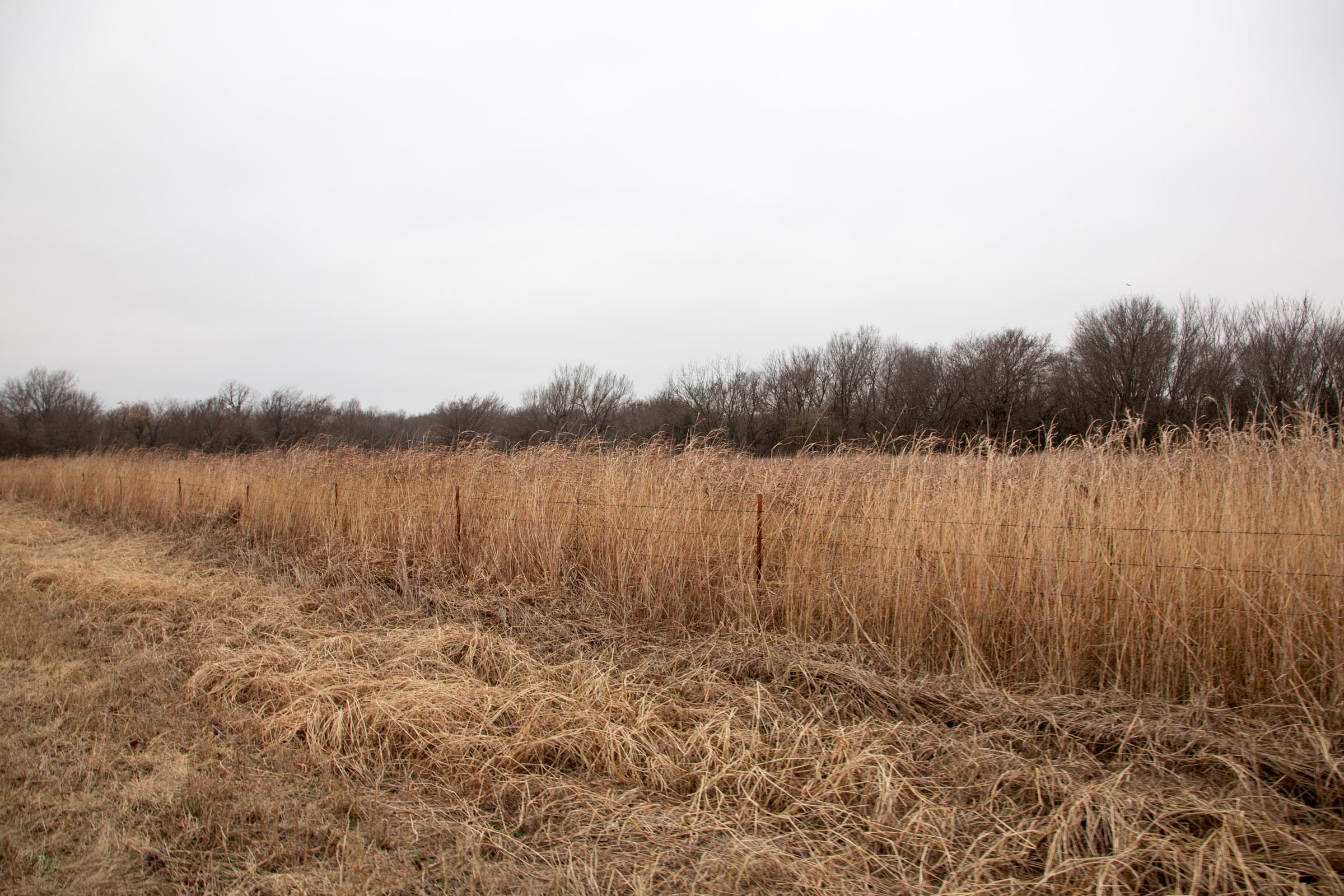 Canadian Plains Tract 16 photo 8
