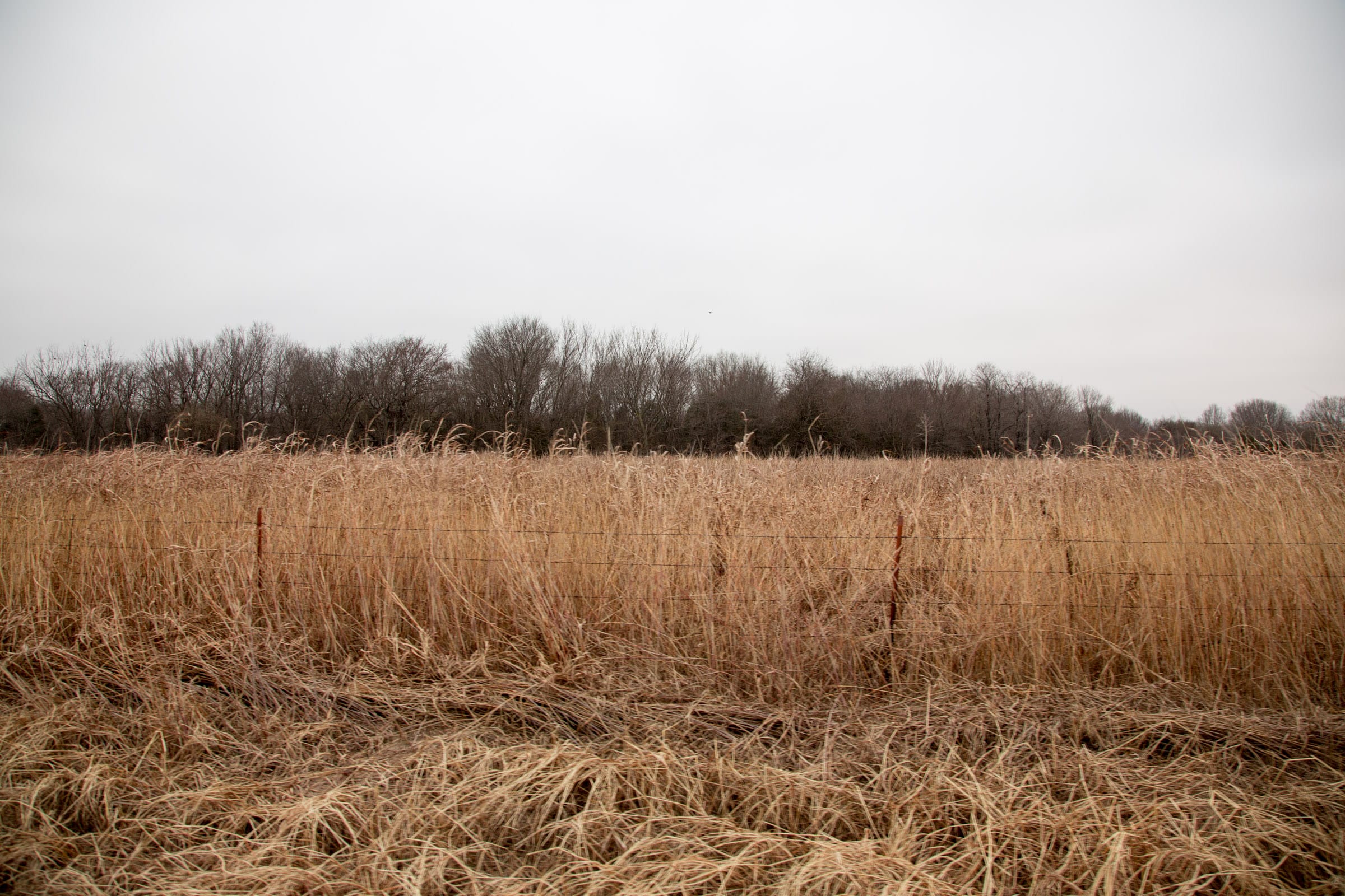 Canadian Plains Tract 16 photo 9