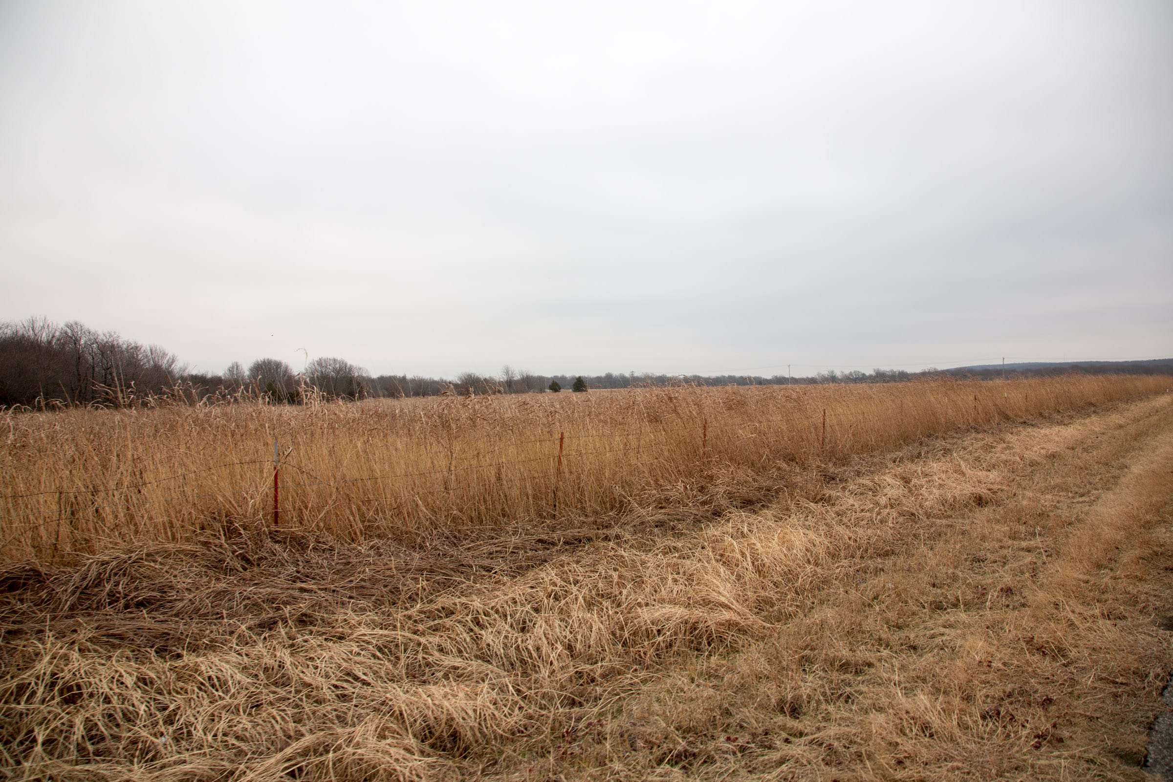 Canadian Plains Tract 16 photo 10