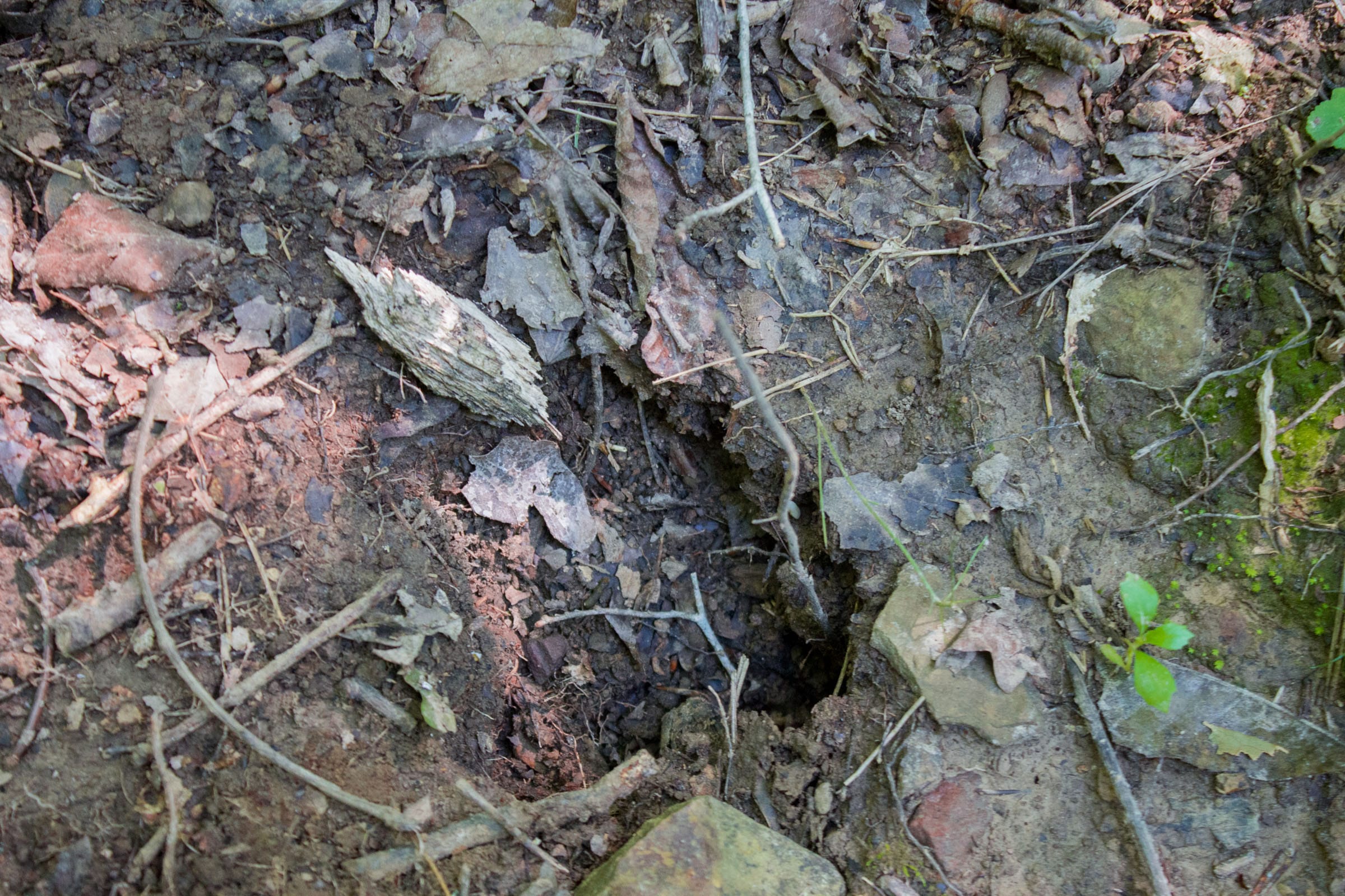 Bluewater Ridge Tract 14 photo 10