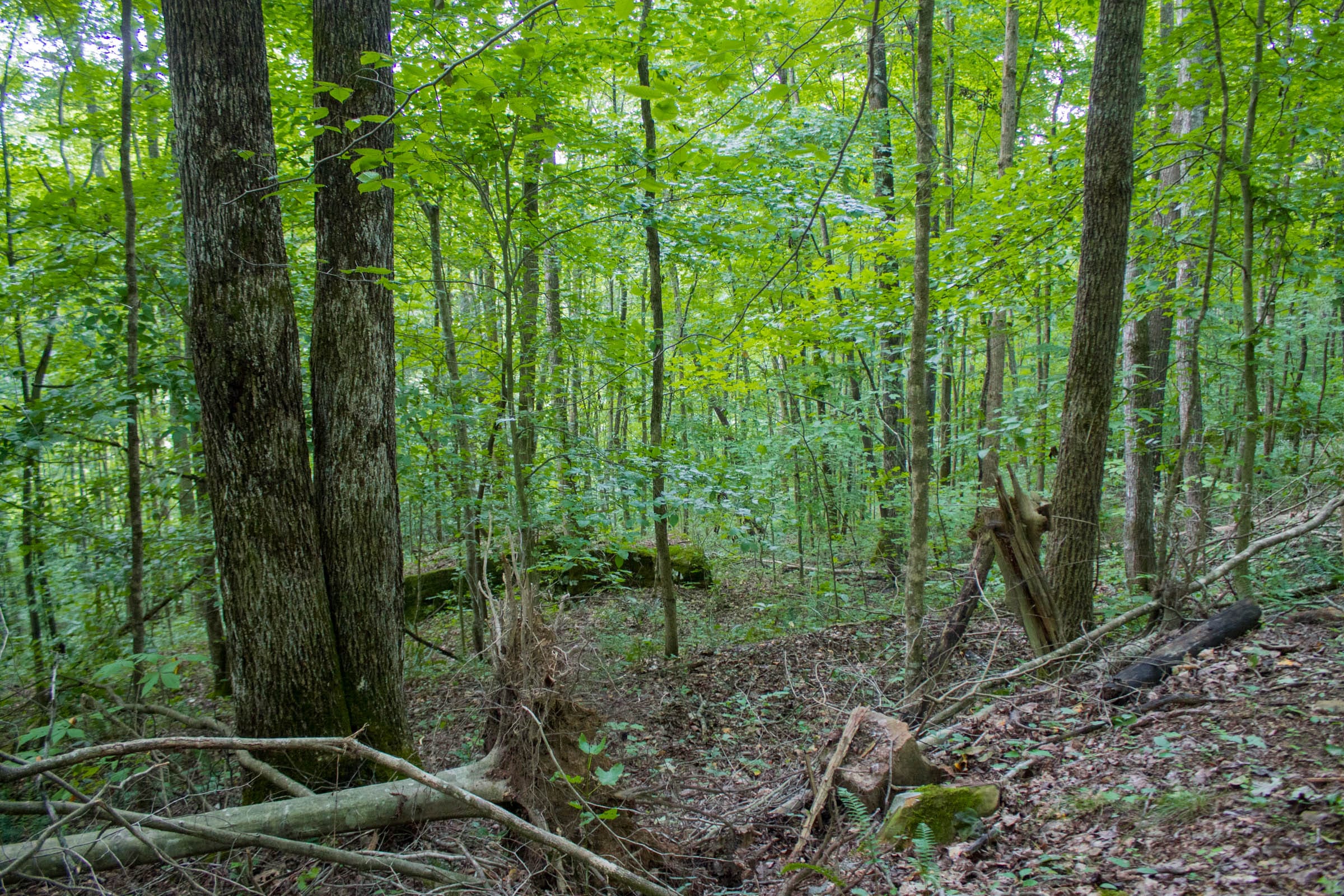 Bluewater Ridge Tract 14 photo 17