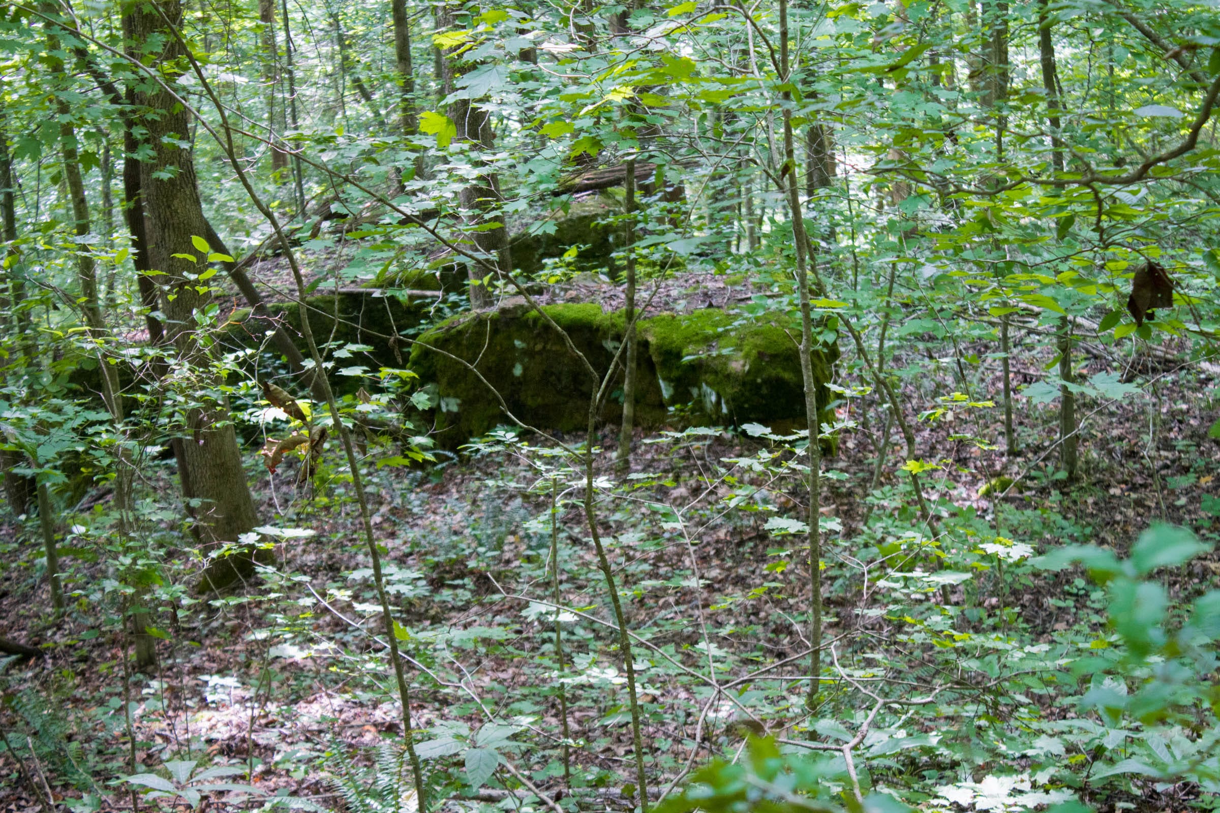 Bluewater Ridge Tract 14 photo 19