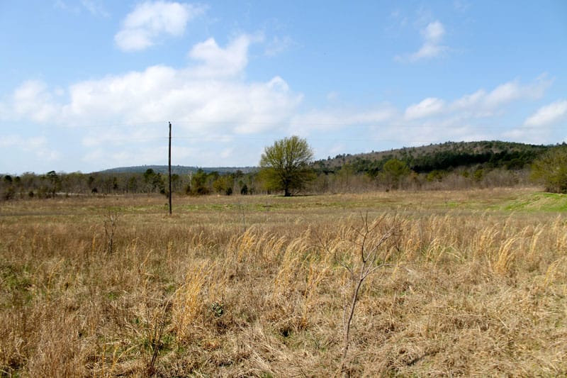 Daisy Meadows Tract 9 photo 3