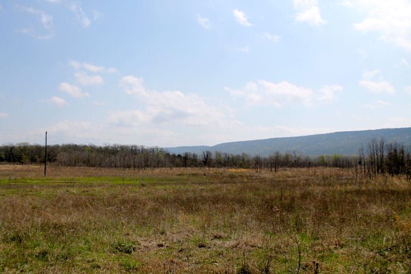 Daisy Meadows Tract 9 photo 6