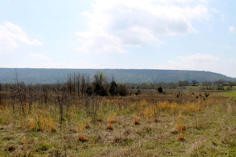 Daisy Meadows Tract 9 photo 9