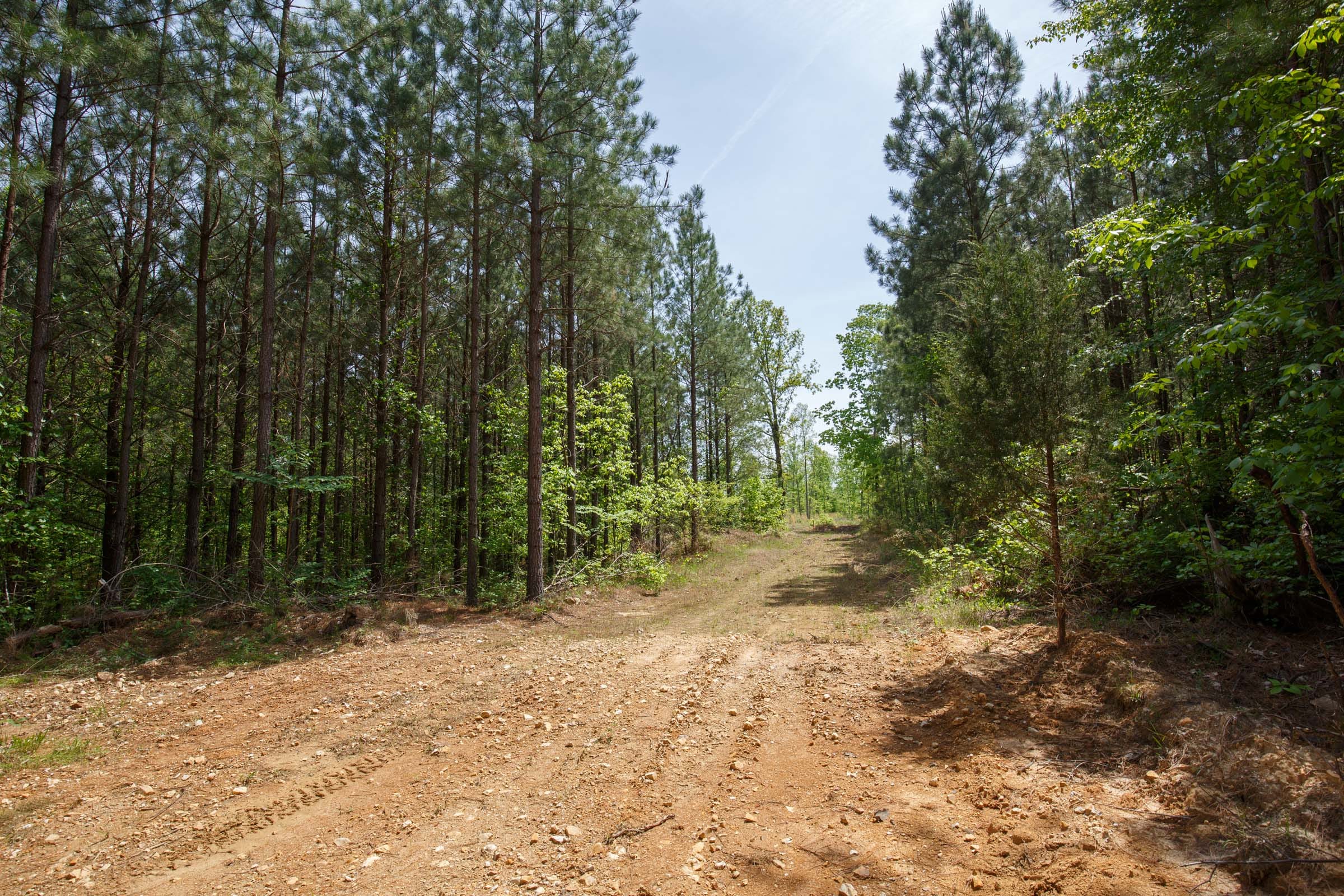 Red Barn Ranch Tract 57 photo 1