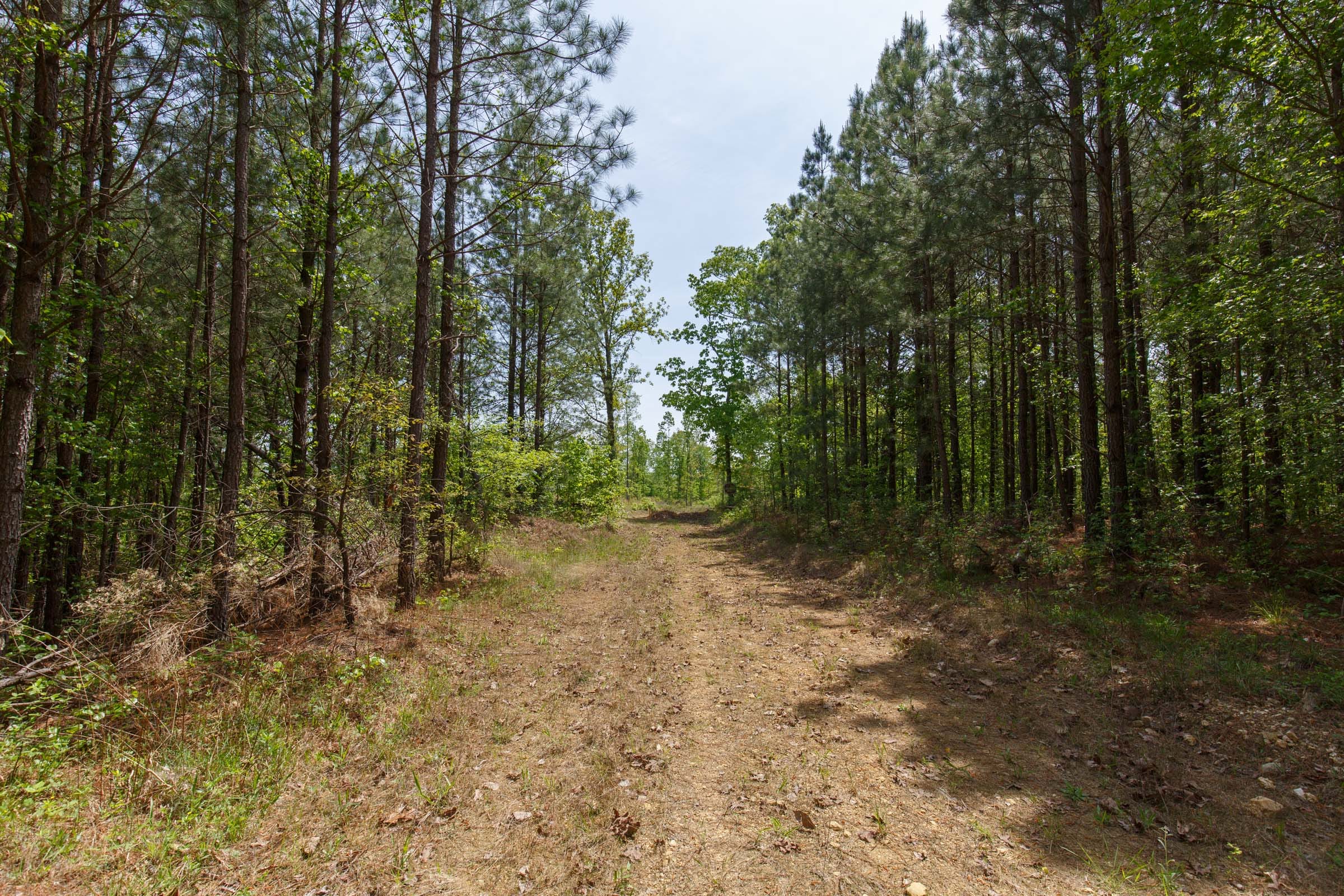 Red Barn Ranch Tract 57 photo 5