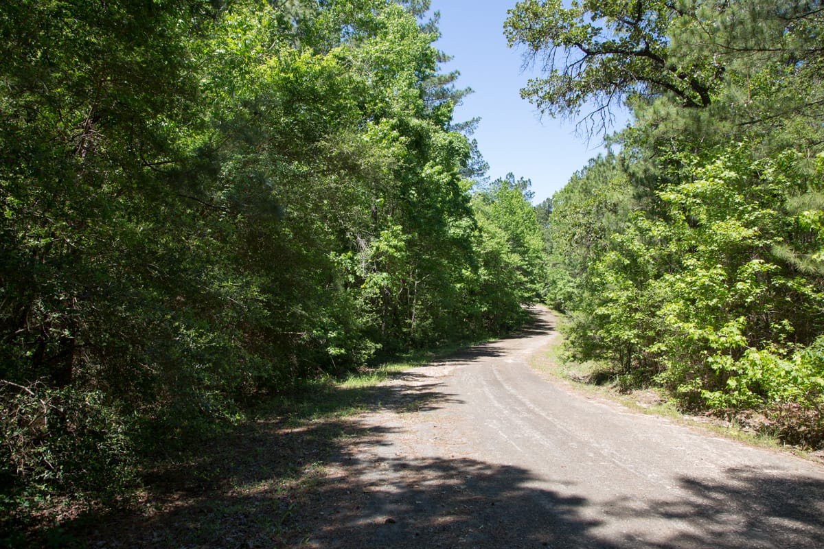 Rayburn Country Tract 242 photo 2