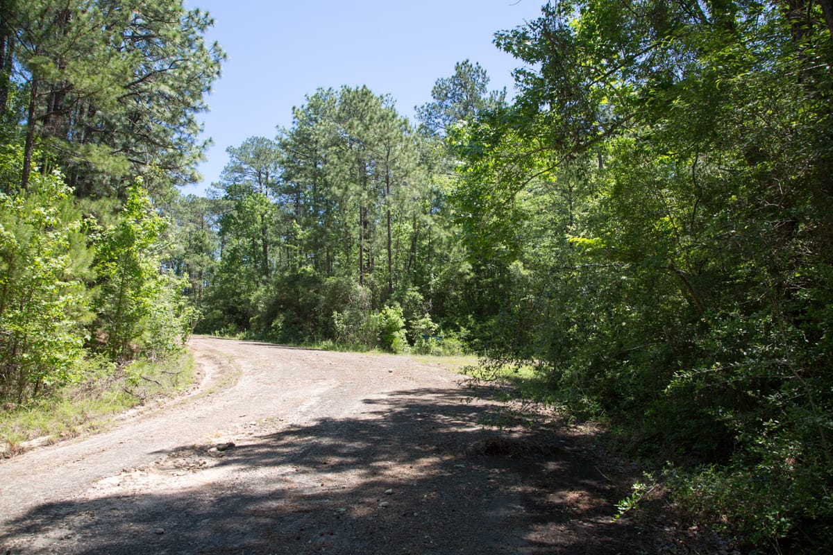 Rayburn Country Tract 242 photo 3