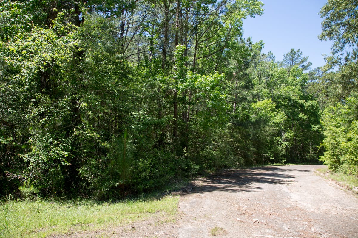 Rayburn Country Tract 242 photo 7