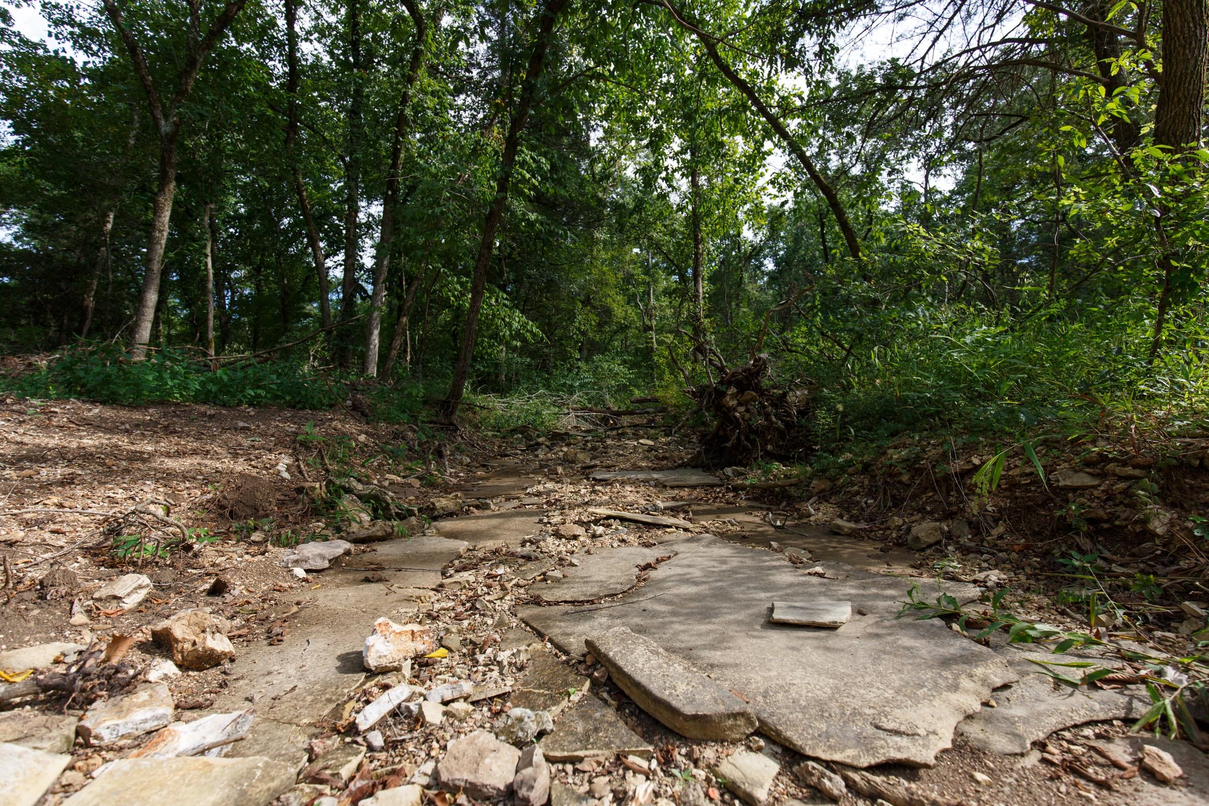 Wildwood Tract 19 photo 2