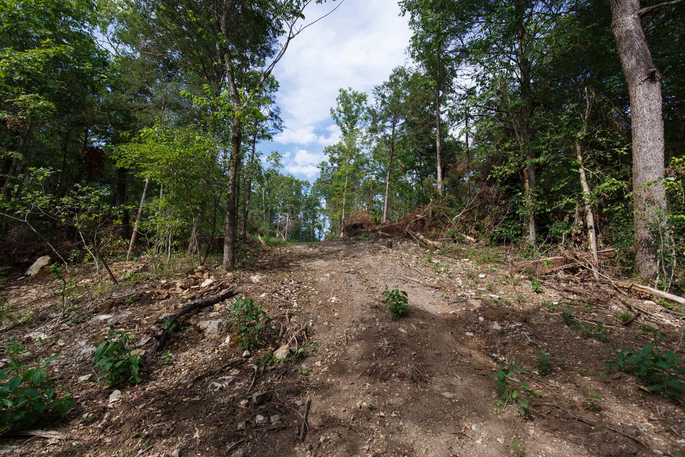 Wildwood Tract 19 photo 4