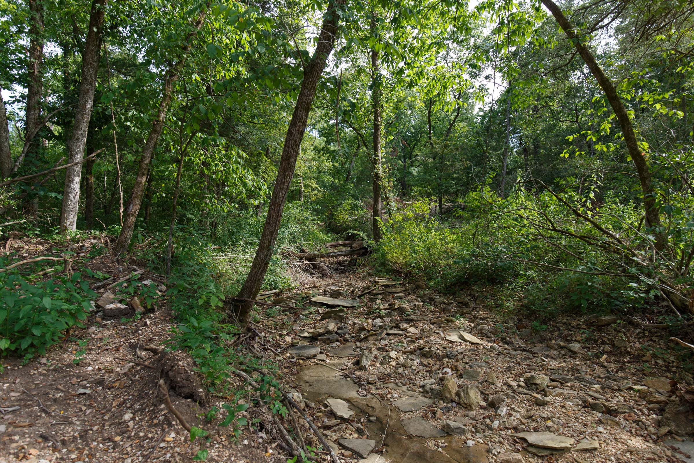 Wildwood Tract 19 photo 3