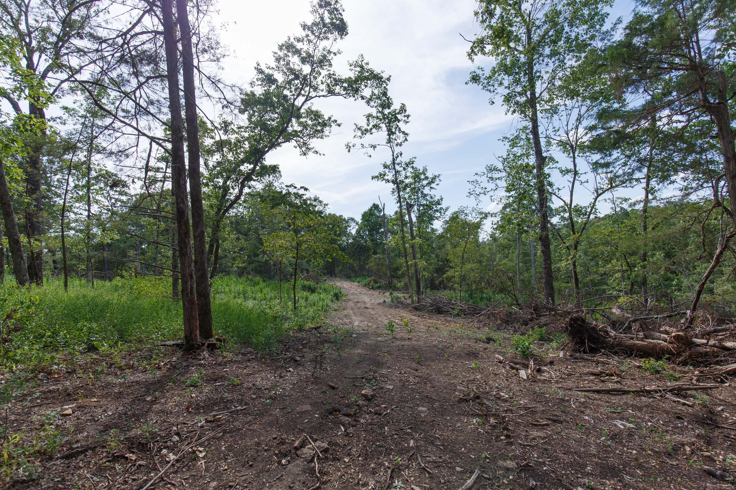 Wildwood Tract 19 photo 7