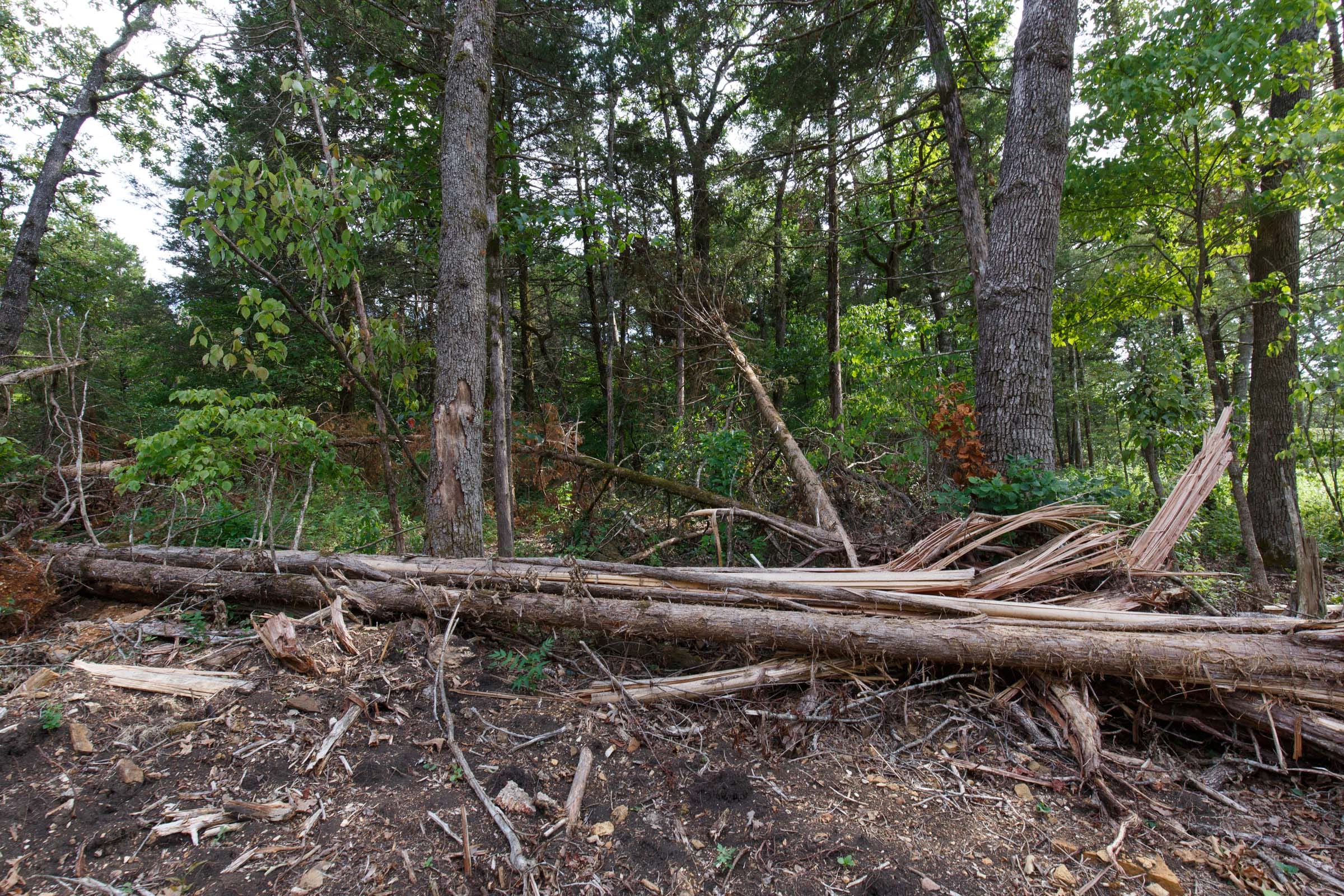 Wildwood Tract 19 photo 6