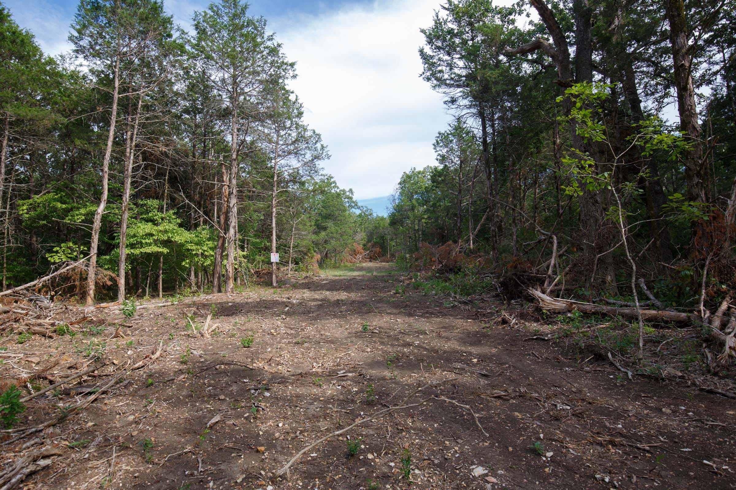 Wildwood Tract 19 photo 1