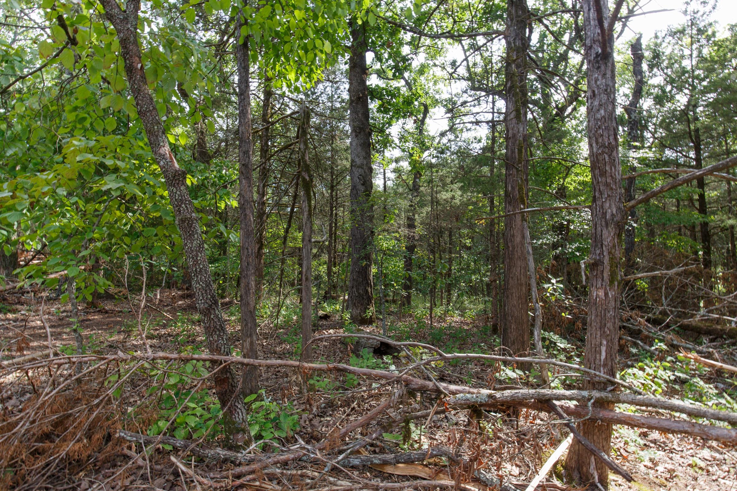 Wildwood Tract 19 photo 8