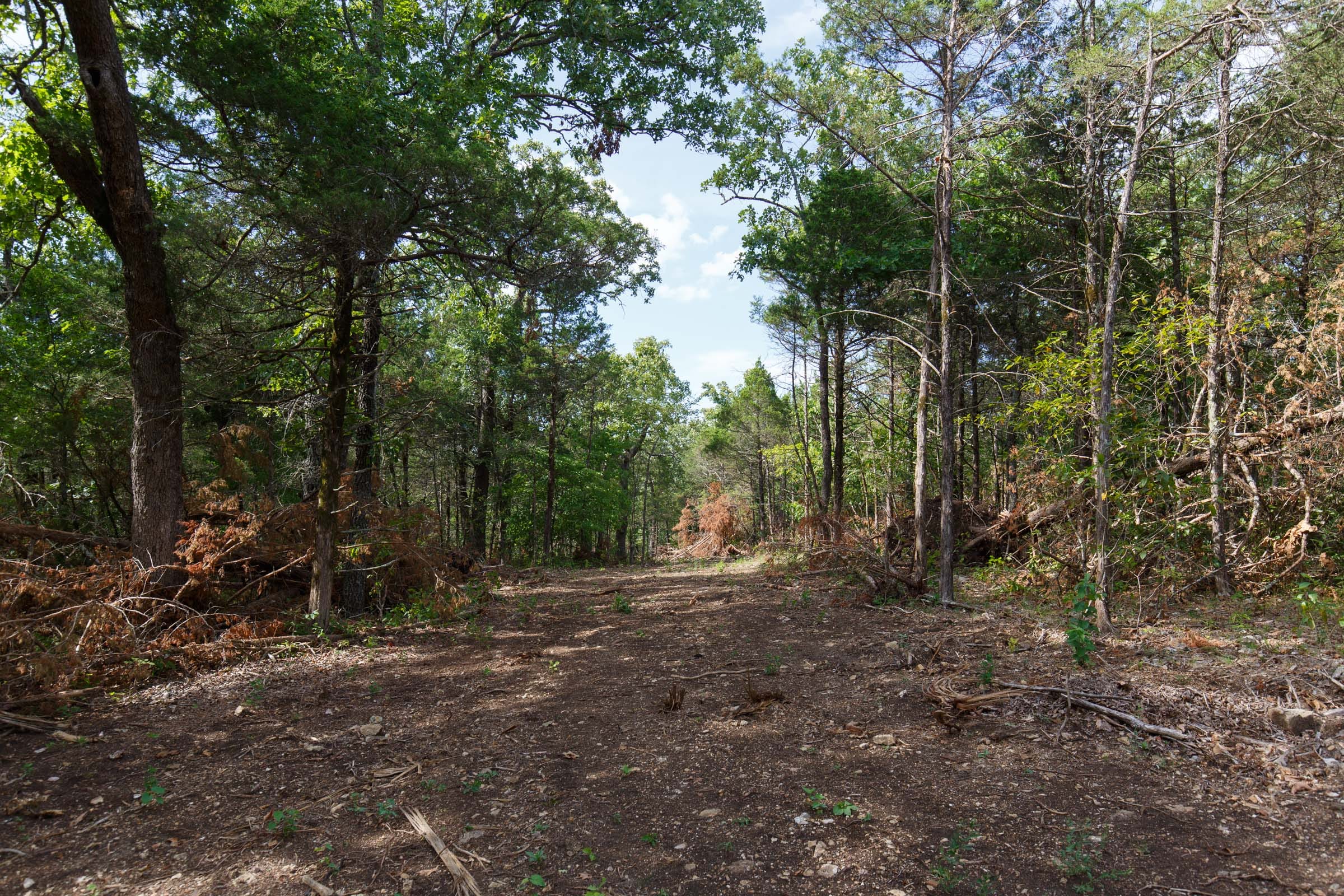 Wildwood Tract 19 photo 10