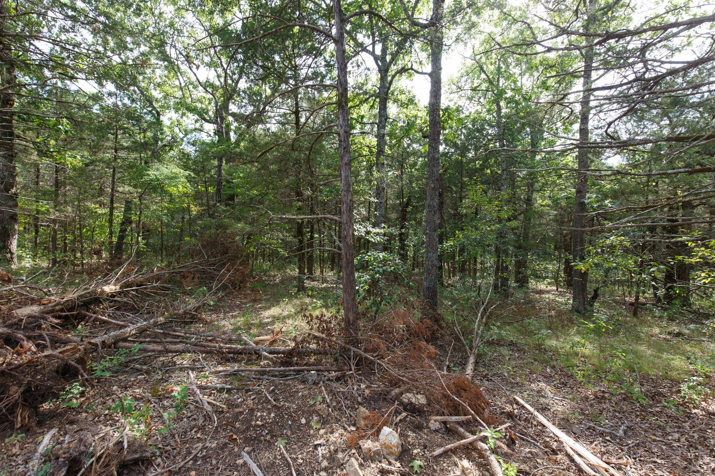 Wildwood Tract 19 photo 9