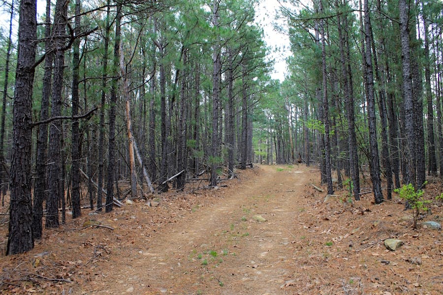 Trophy Ridge Phase III Tract 48 photo 1
