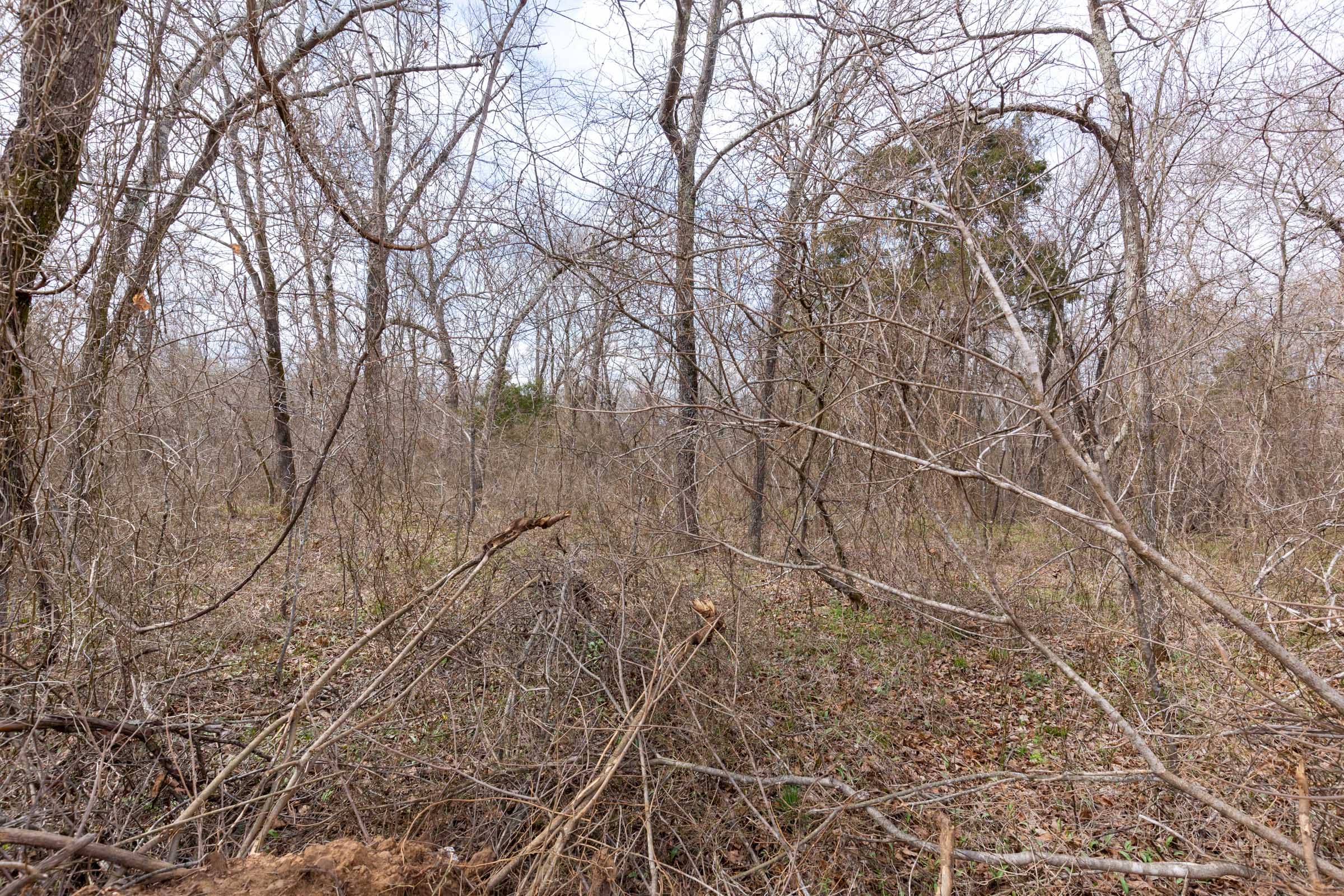 Stone Bridge Phase III Tract 157 photo 5