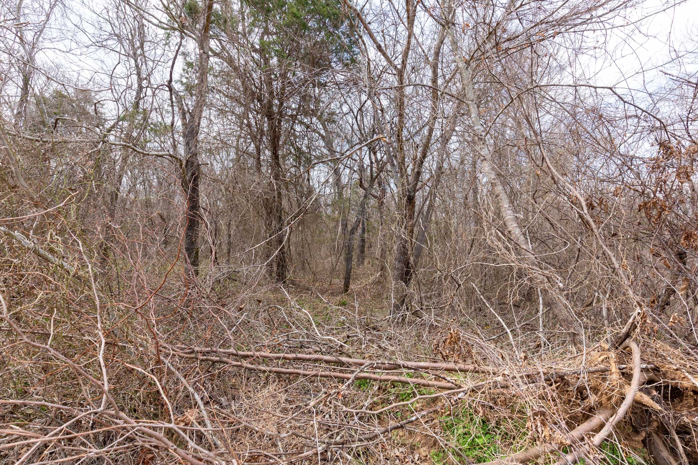 Stone Bridge Phase III Tract 157 photo 7